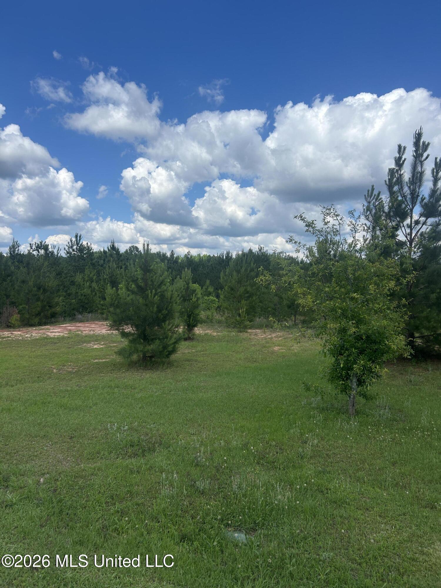 52 Joe Traylor Road Property Photo 2
