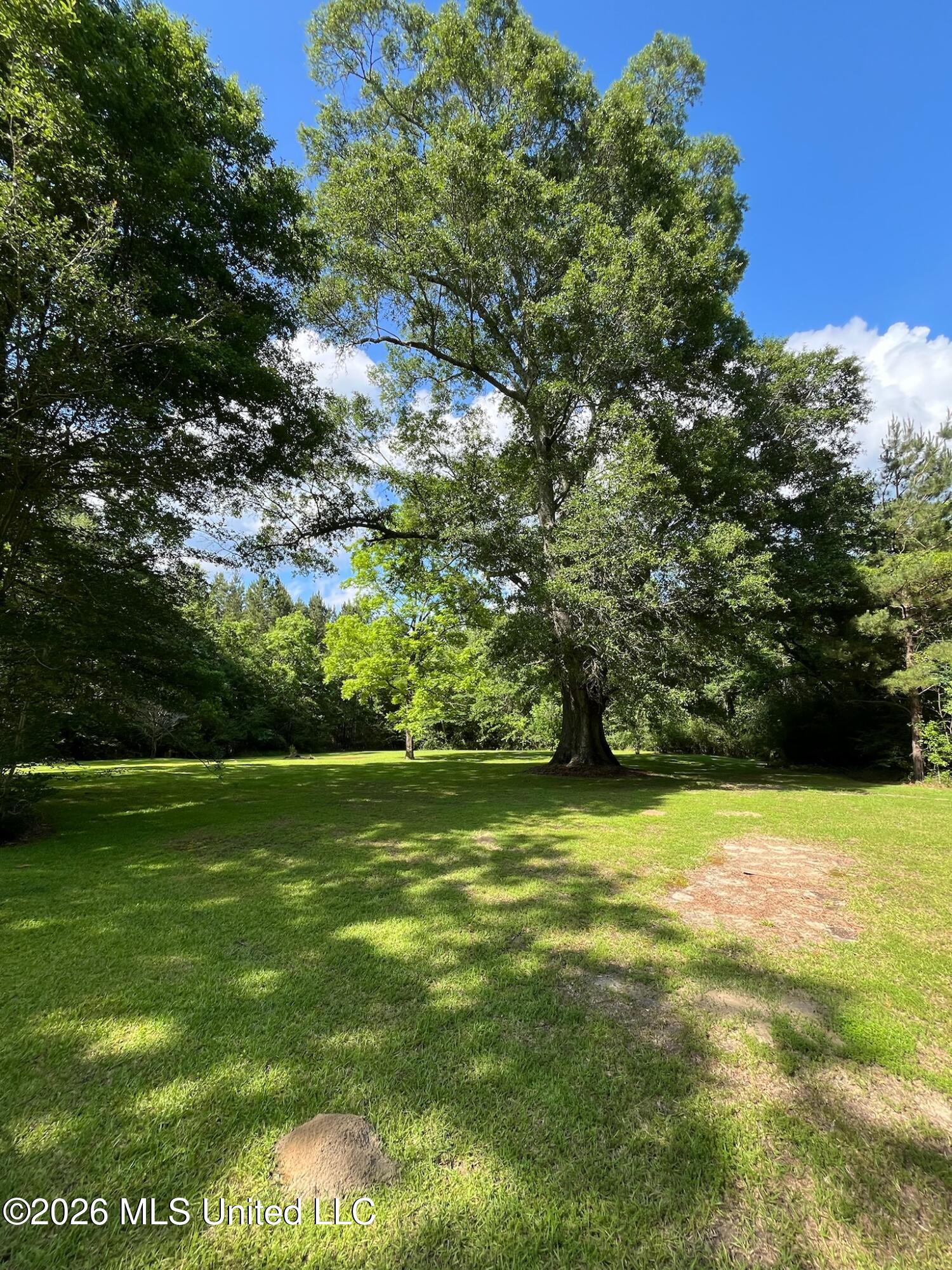 1807 Highway 15 Property Photo 3