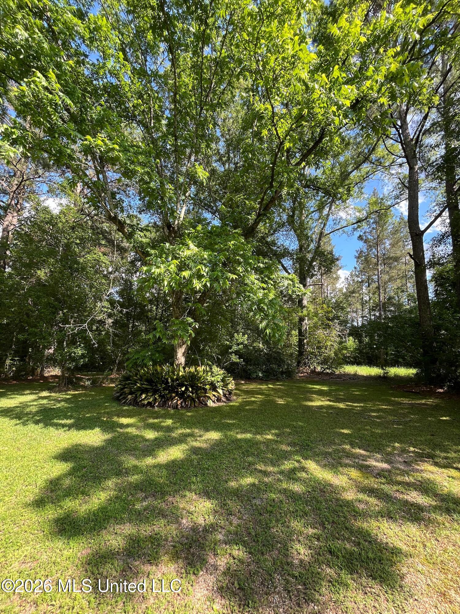 1807 Highway 15 Property Photo 6