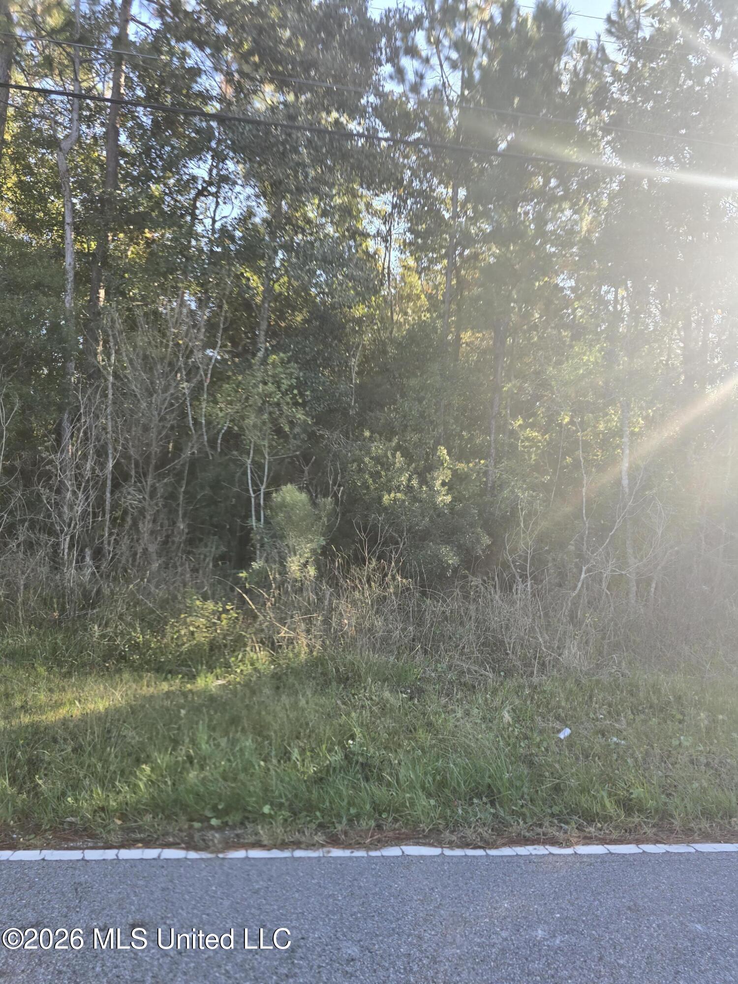 Allen Road Property Photo 1