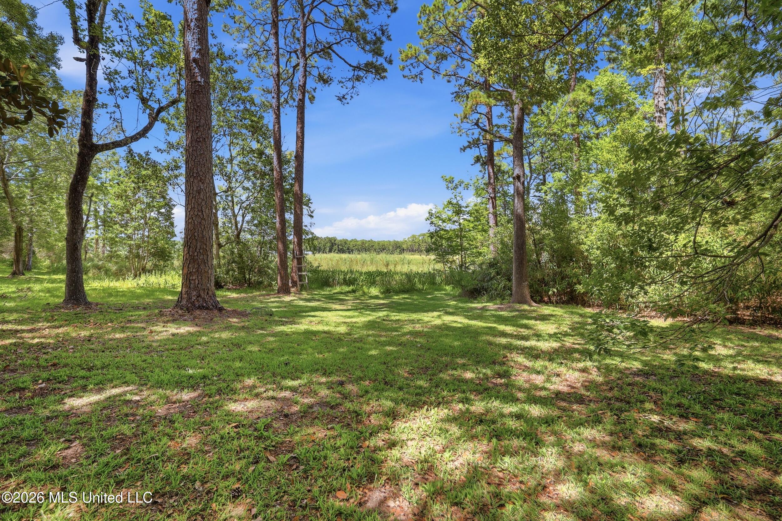 1432 Sioux Bayou Drive Property Photo 26