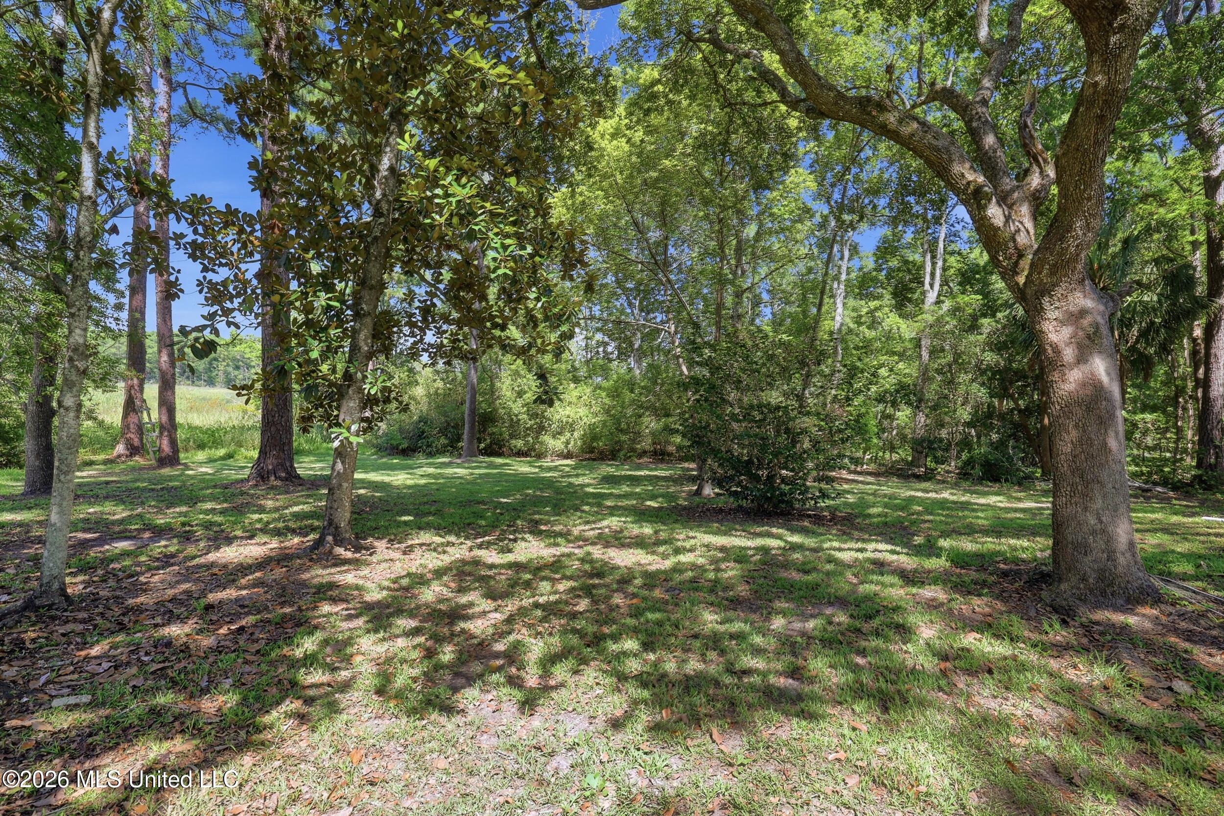 1432 Sioux Bayou Drive Property Photo 27