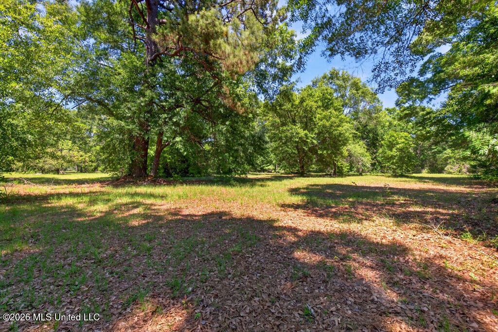 12204 O'neal Road Property Photo 4