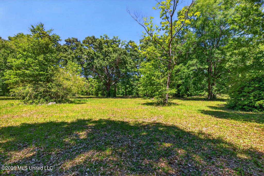 12204 O'neal Road Property Photo 5