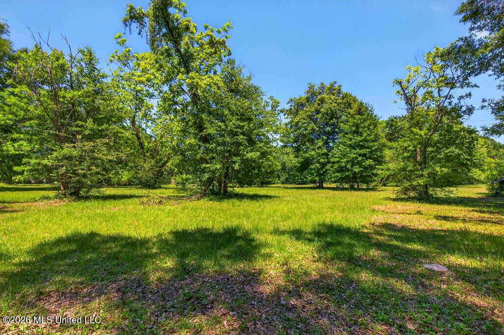 12204 O'neal Road Property Photo 6