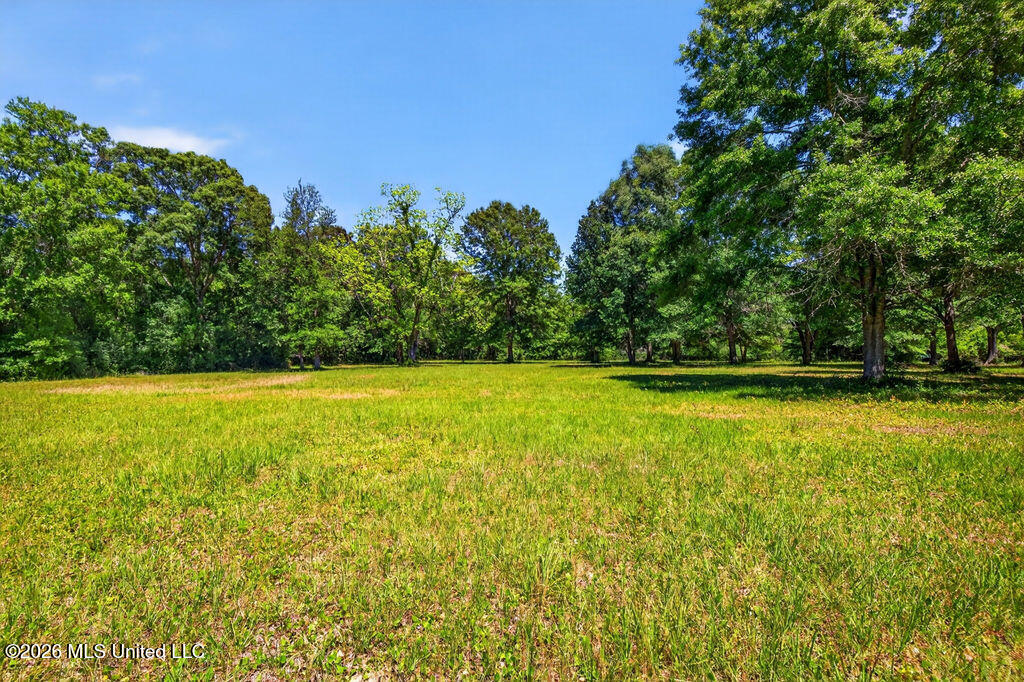 12204 O'neal Road Property Photo 8