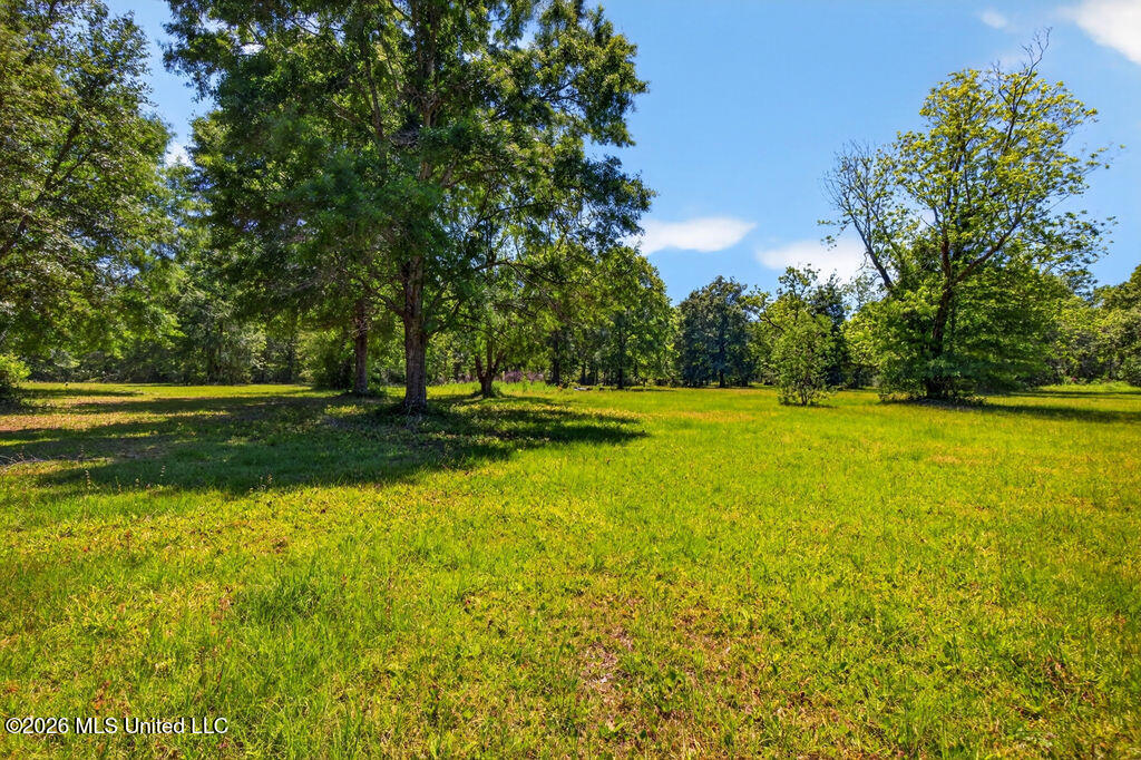 12204 O'neal Road Property Photo 9