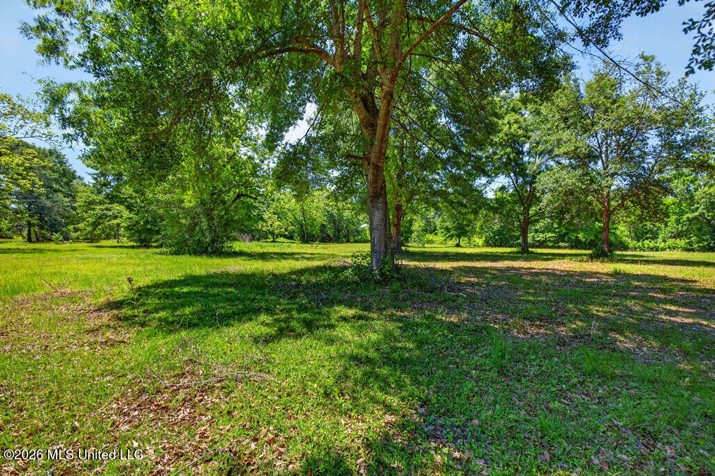 12204 O'neal Road Property Photo 10