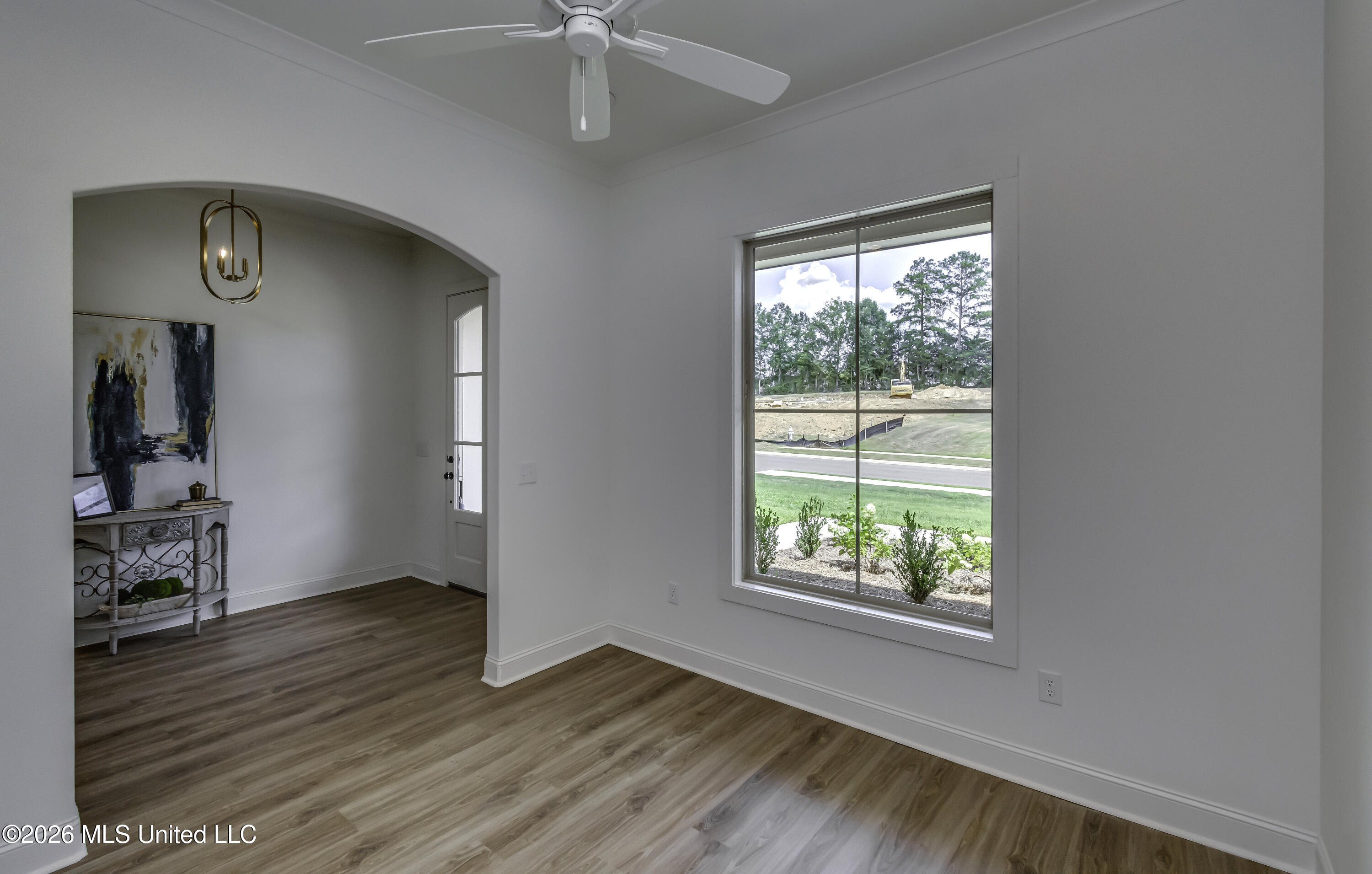 804 Albany Street Property Photo 11