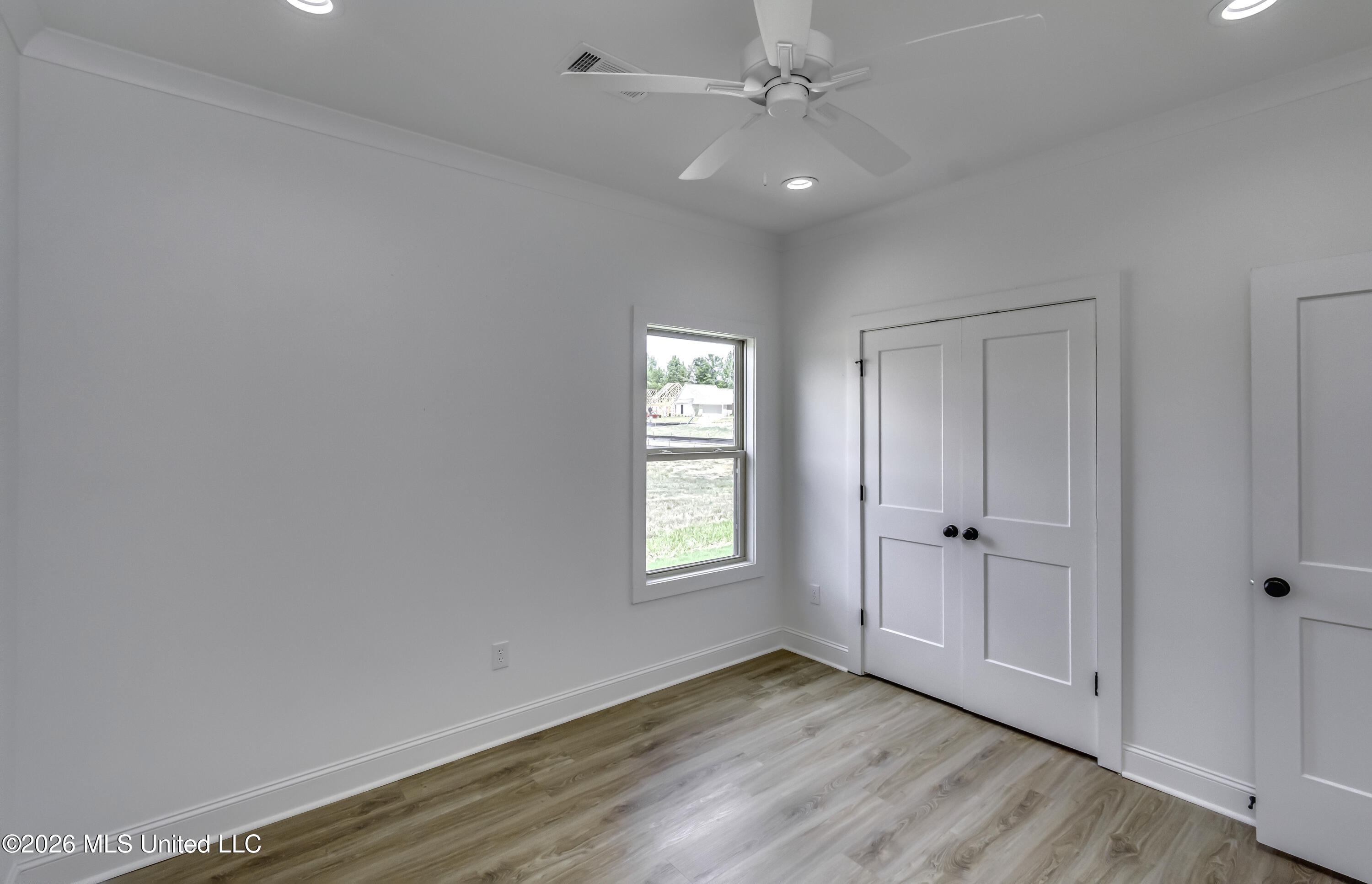 804 Albany Street Property Photo 46