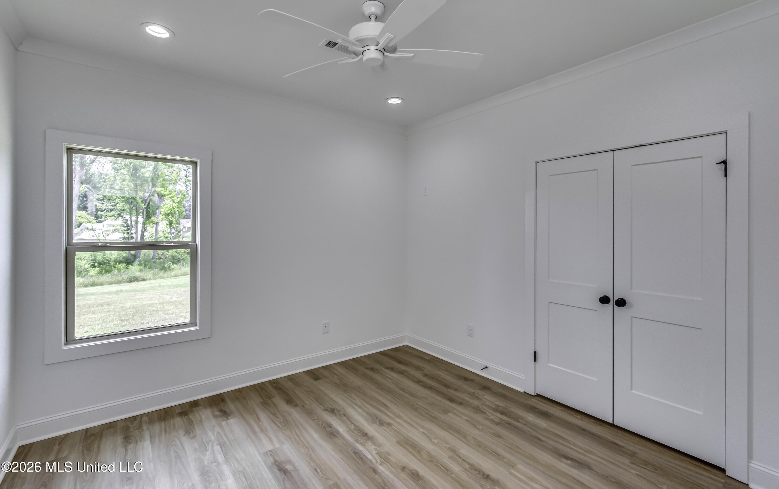 804 Albany Street Property Photo 48