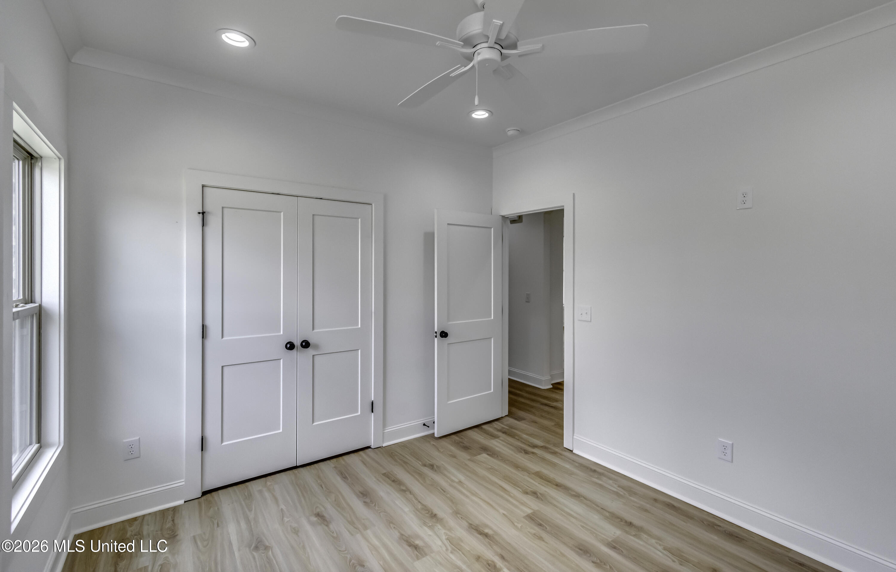 804 Albany Street Property Photo 49