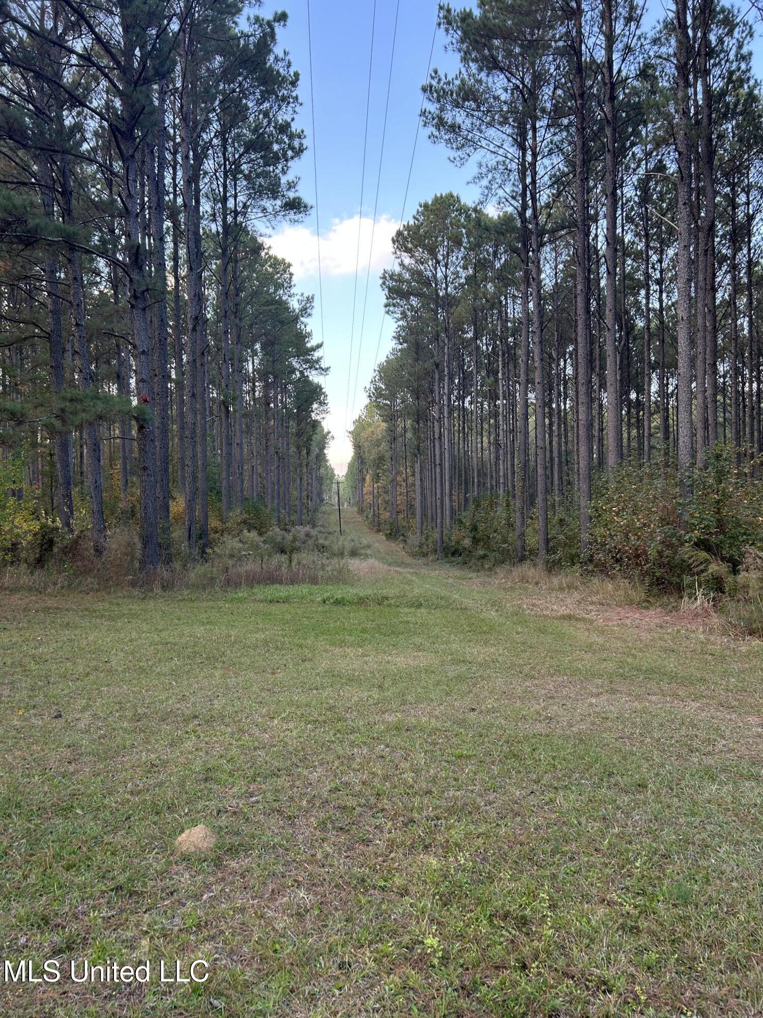 4024 Old Mill Road Property Photo 6