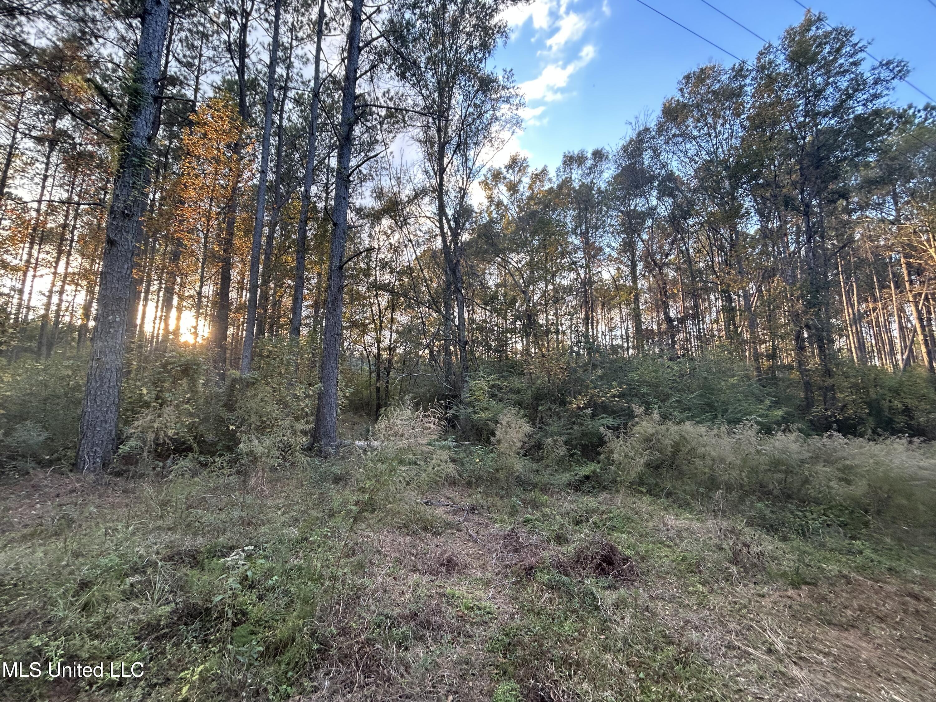 4024 Old Mill Road Property Photo 7
