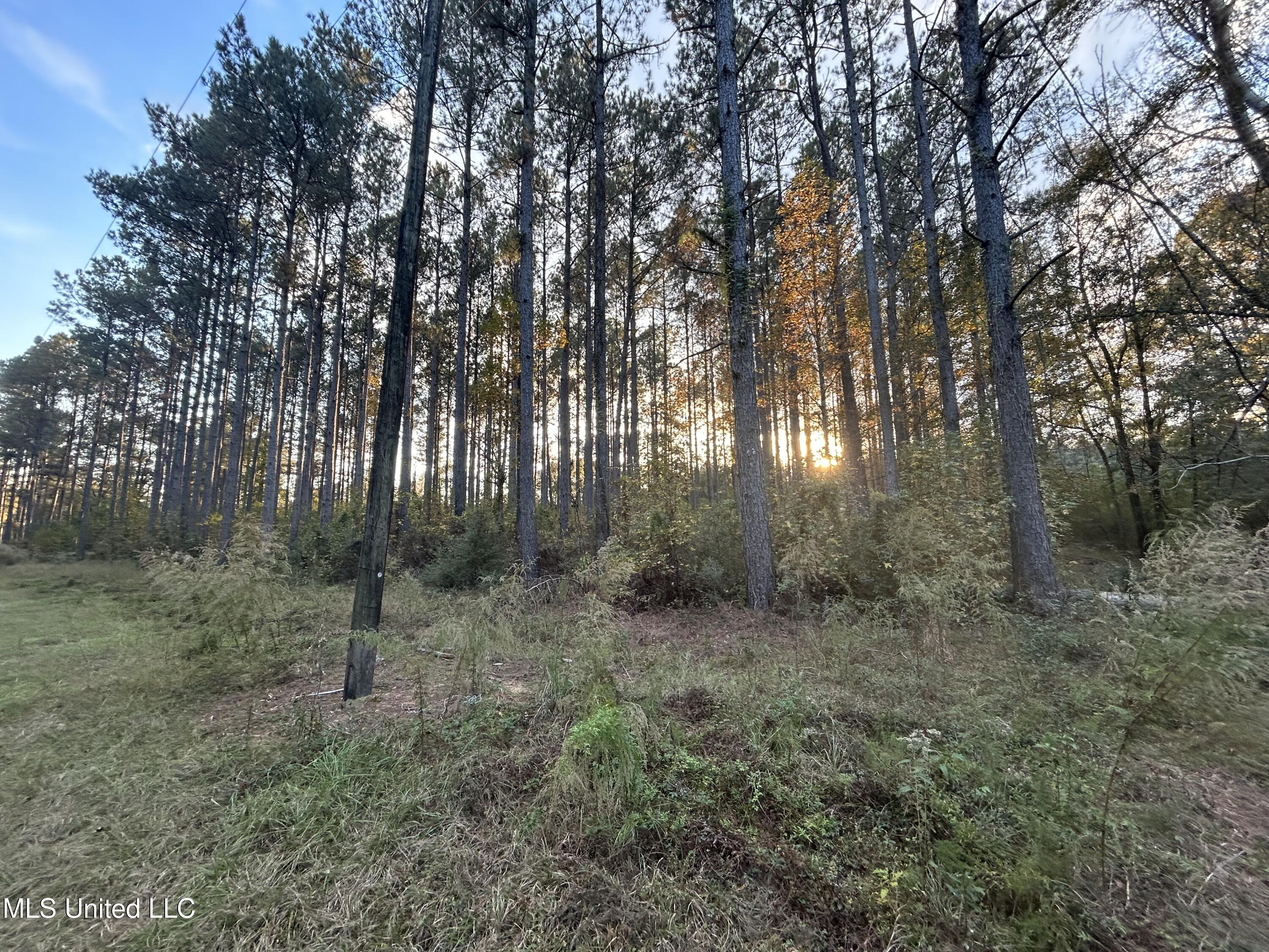 4024 Old Mill Road Property Photo 8