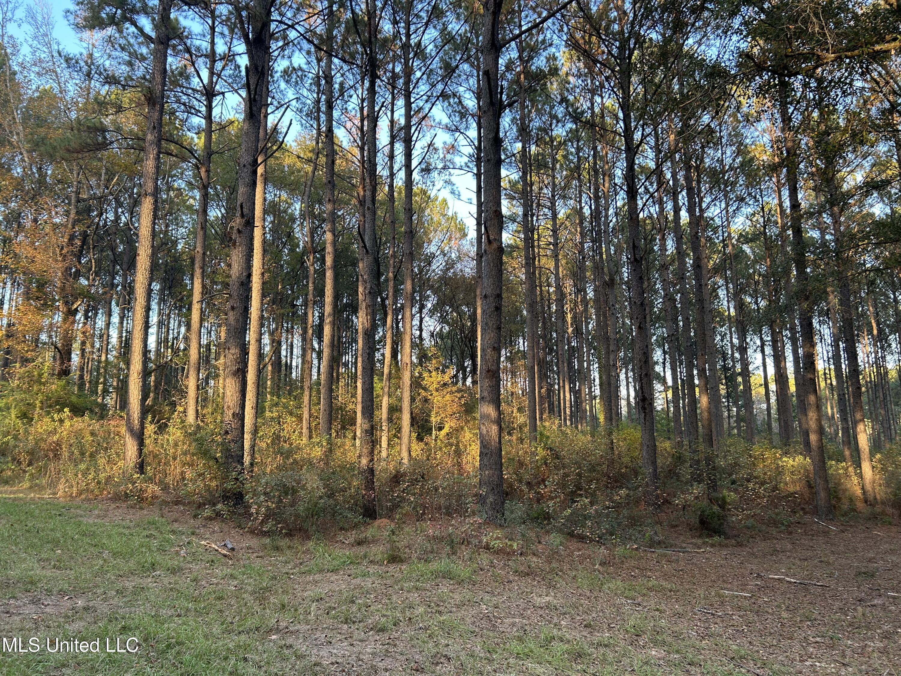 4024 Old Mill Road Property Photo 10