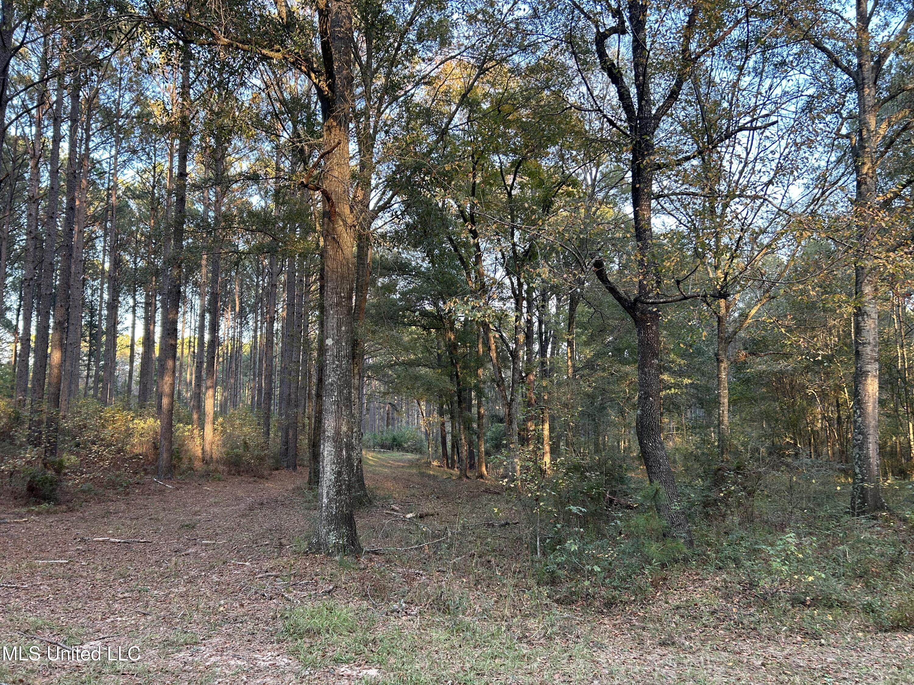 4024 Old Mill Road Property Photo 11