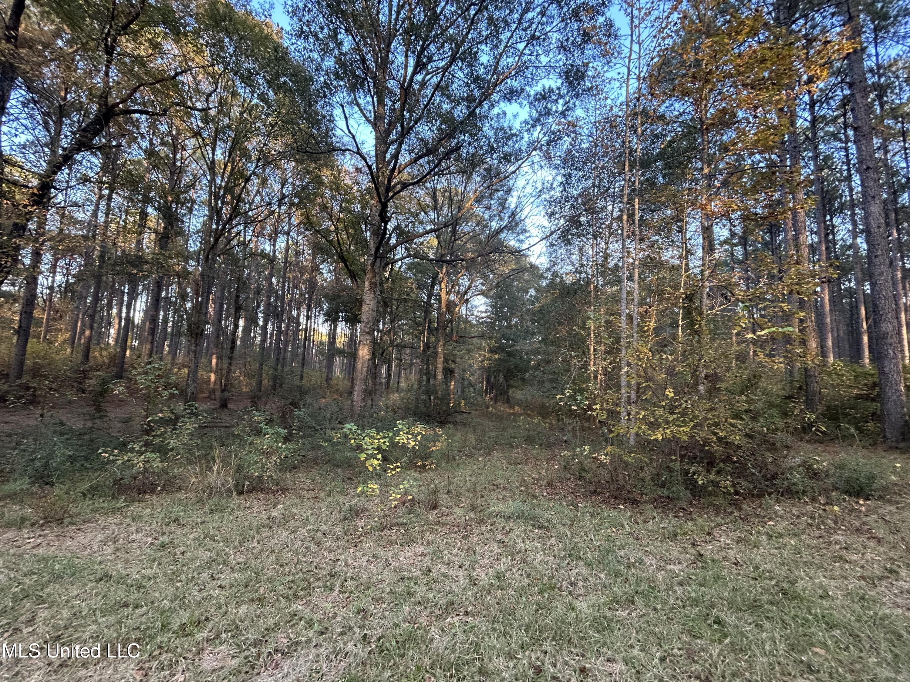 4024 Old Mill Road Property Photo 12