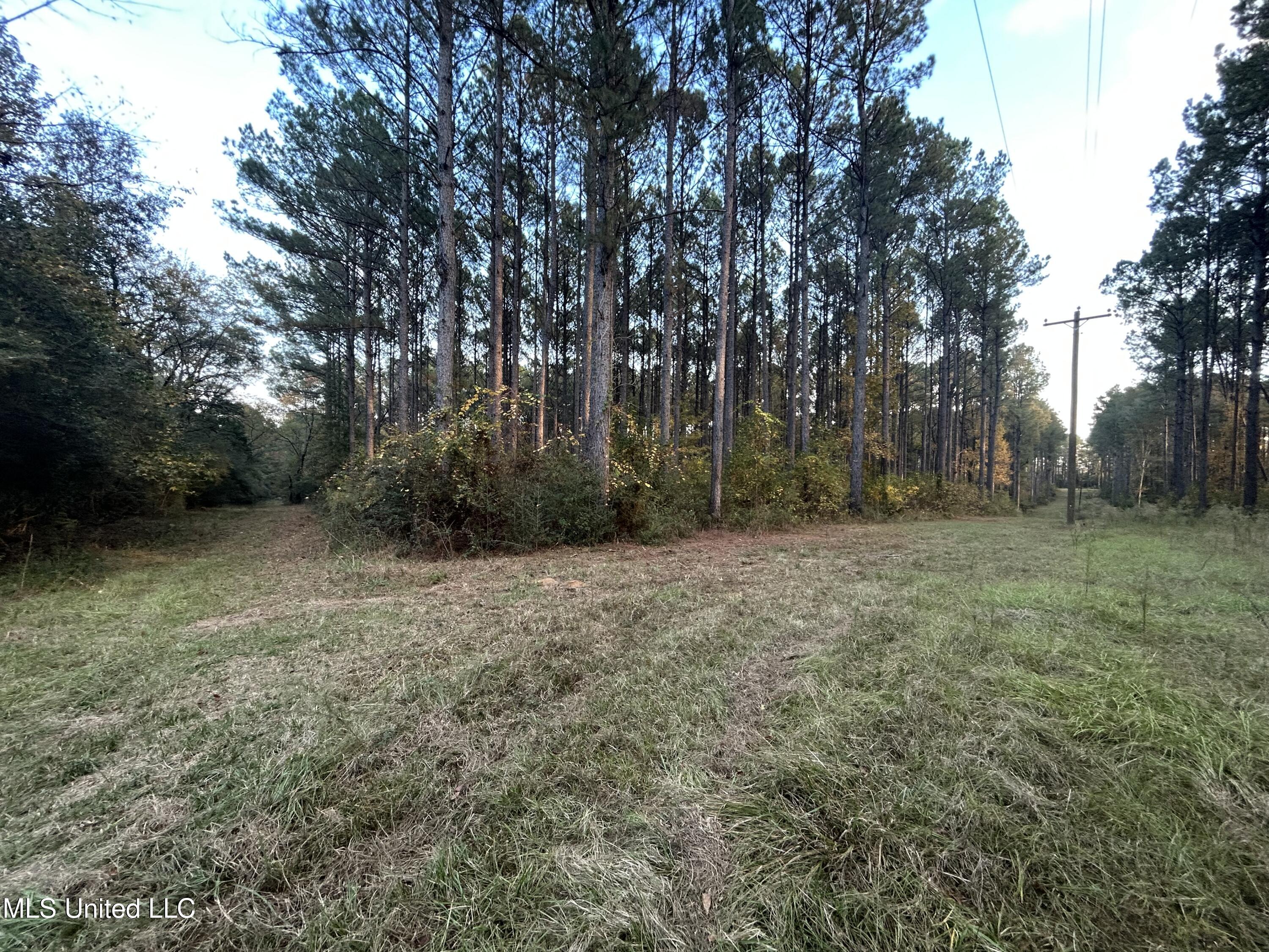 4024 Old Mill Road Property Photo 14