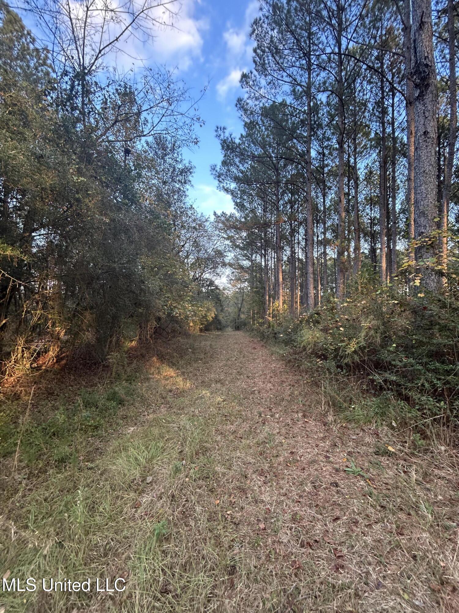 4024 Old Mill Road Property Photo 15