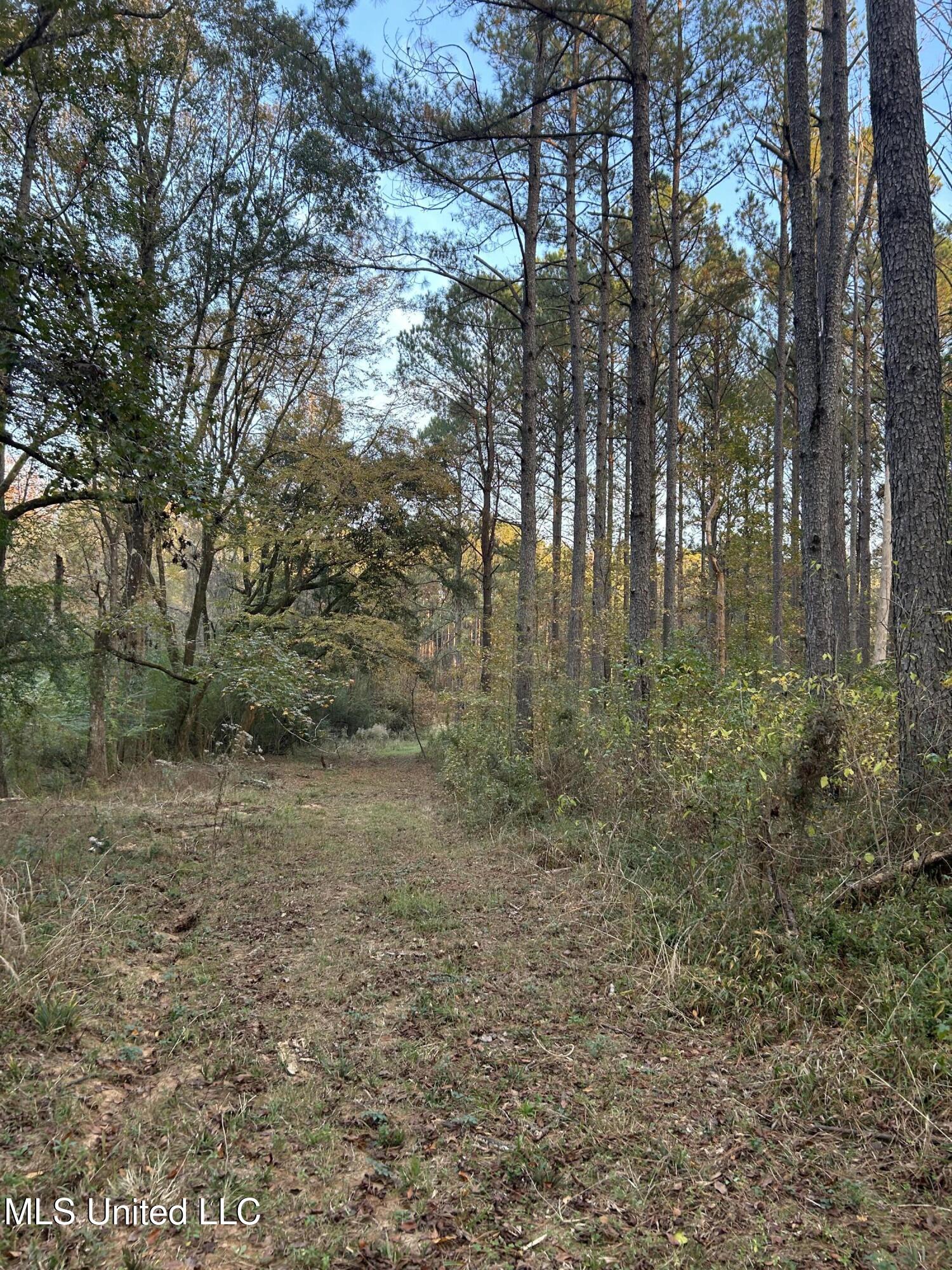 4024 Old Mill Road Property Photo 16
