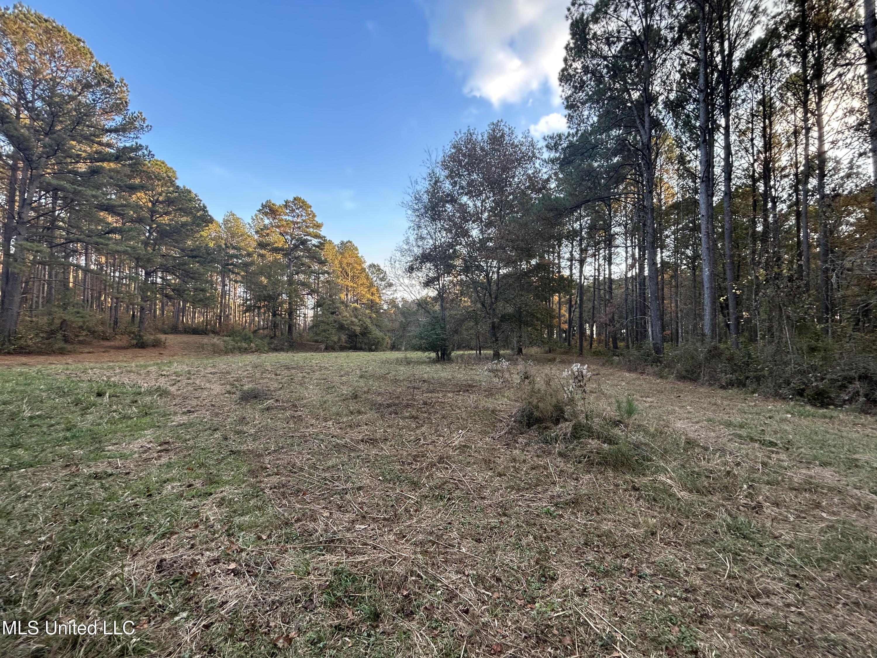 4024 Old Mill Road Property Photo 17