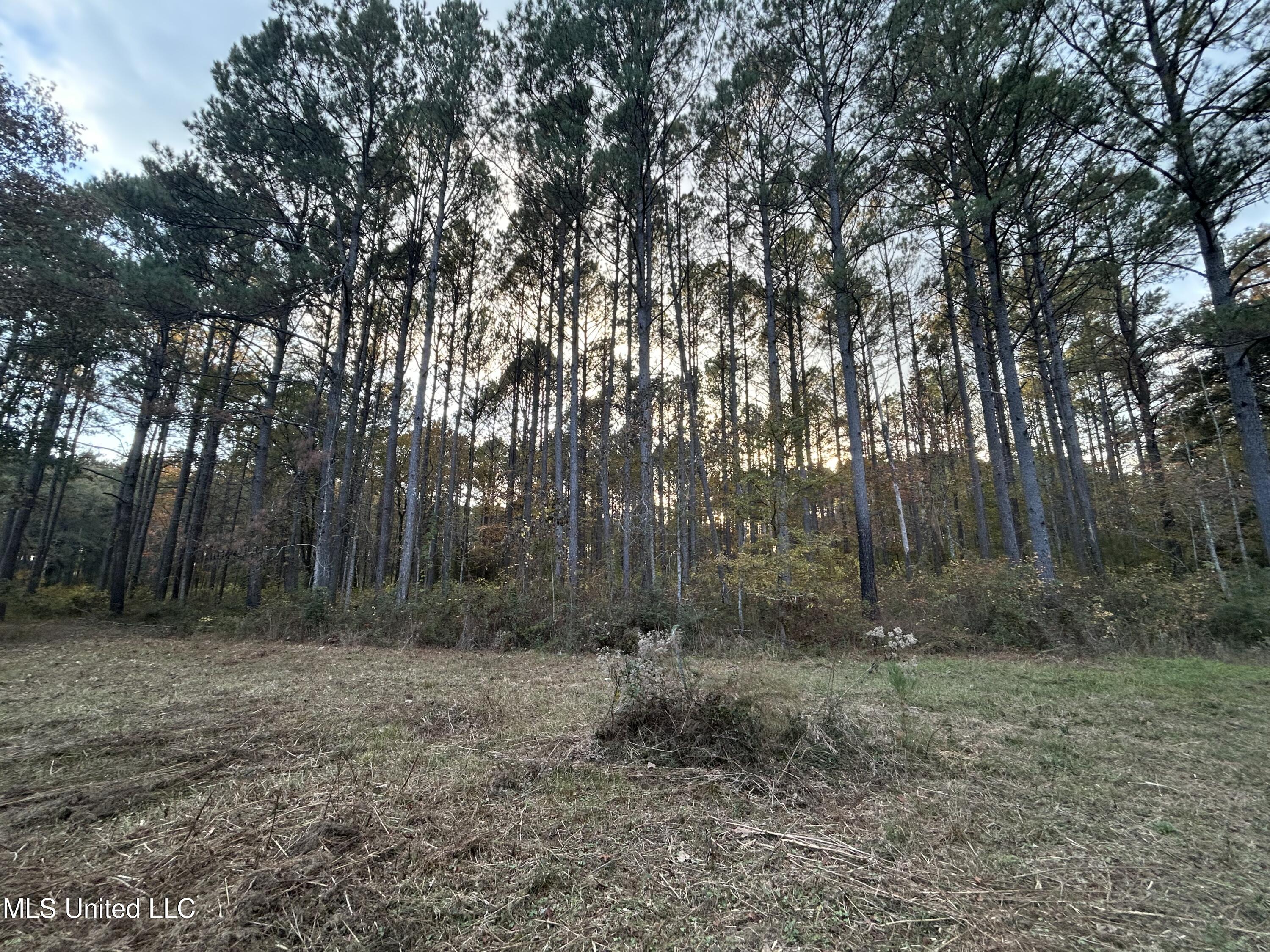 4024 Old Mill Road Property Photo 18
