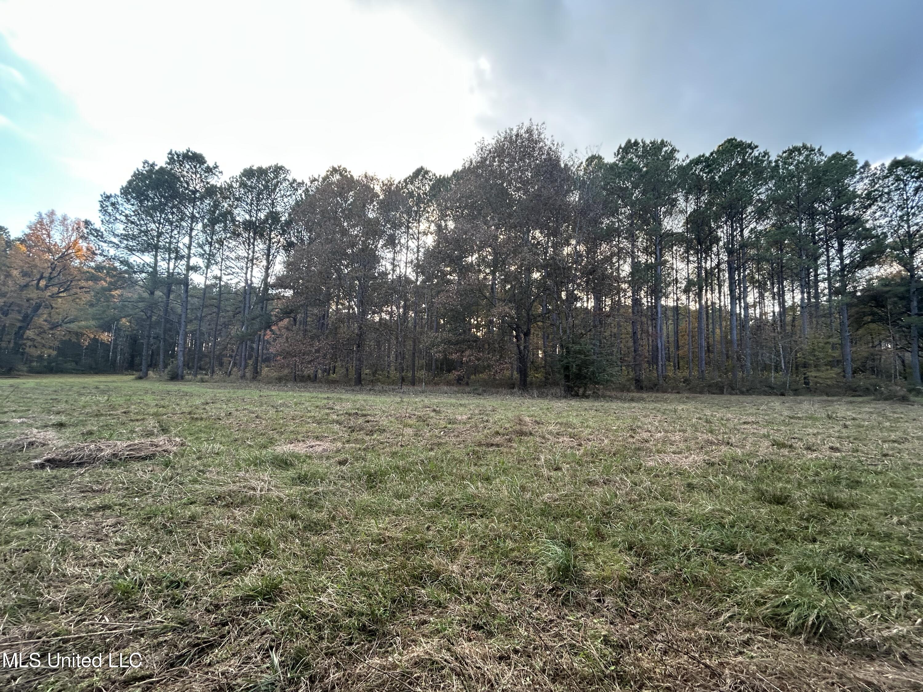 4024 Old Mill Road Property Photo 21