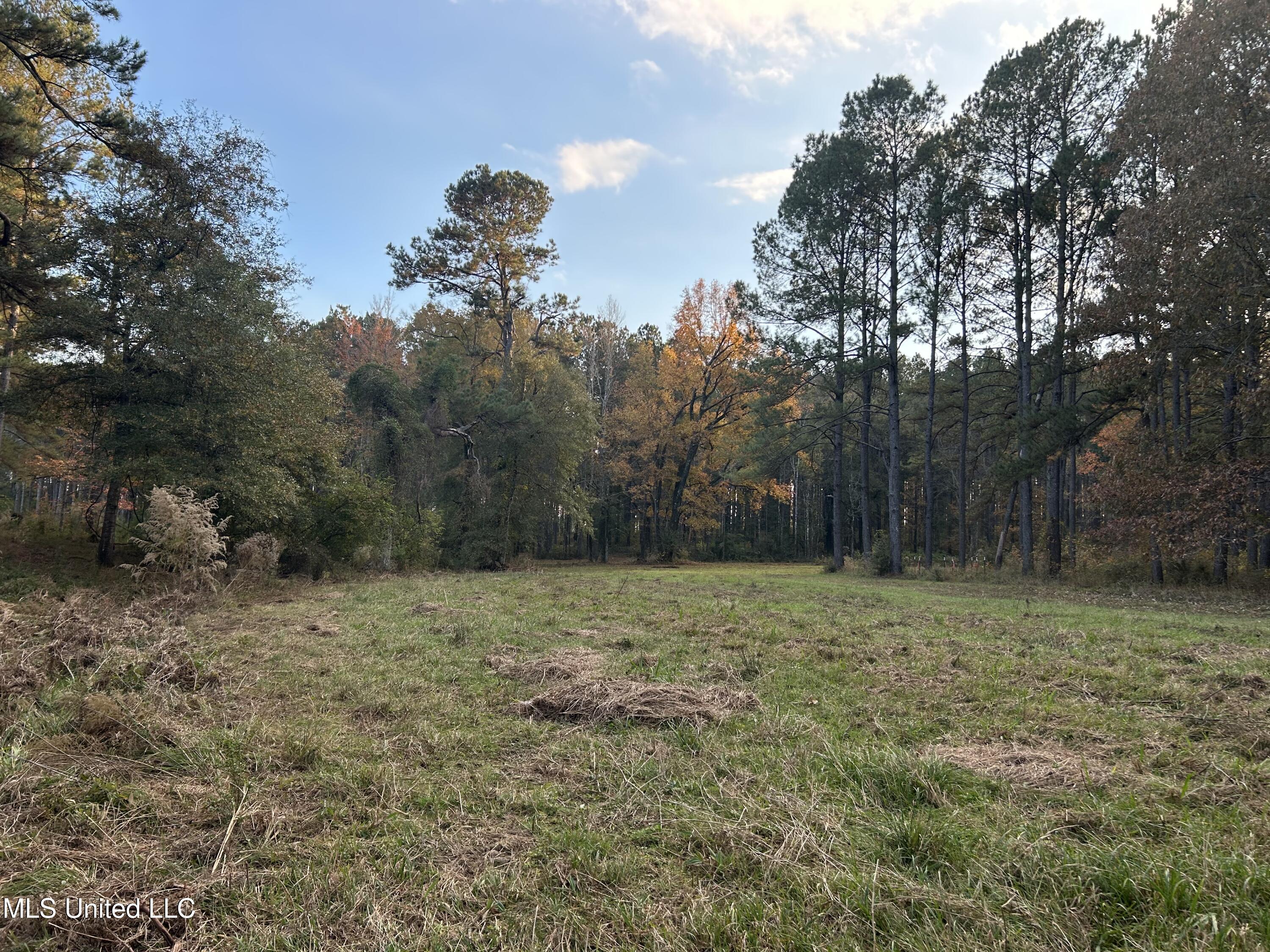 4024 Old Mill Road Property Photo 23