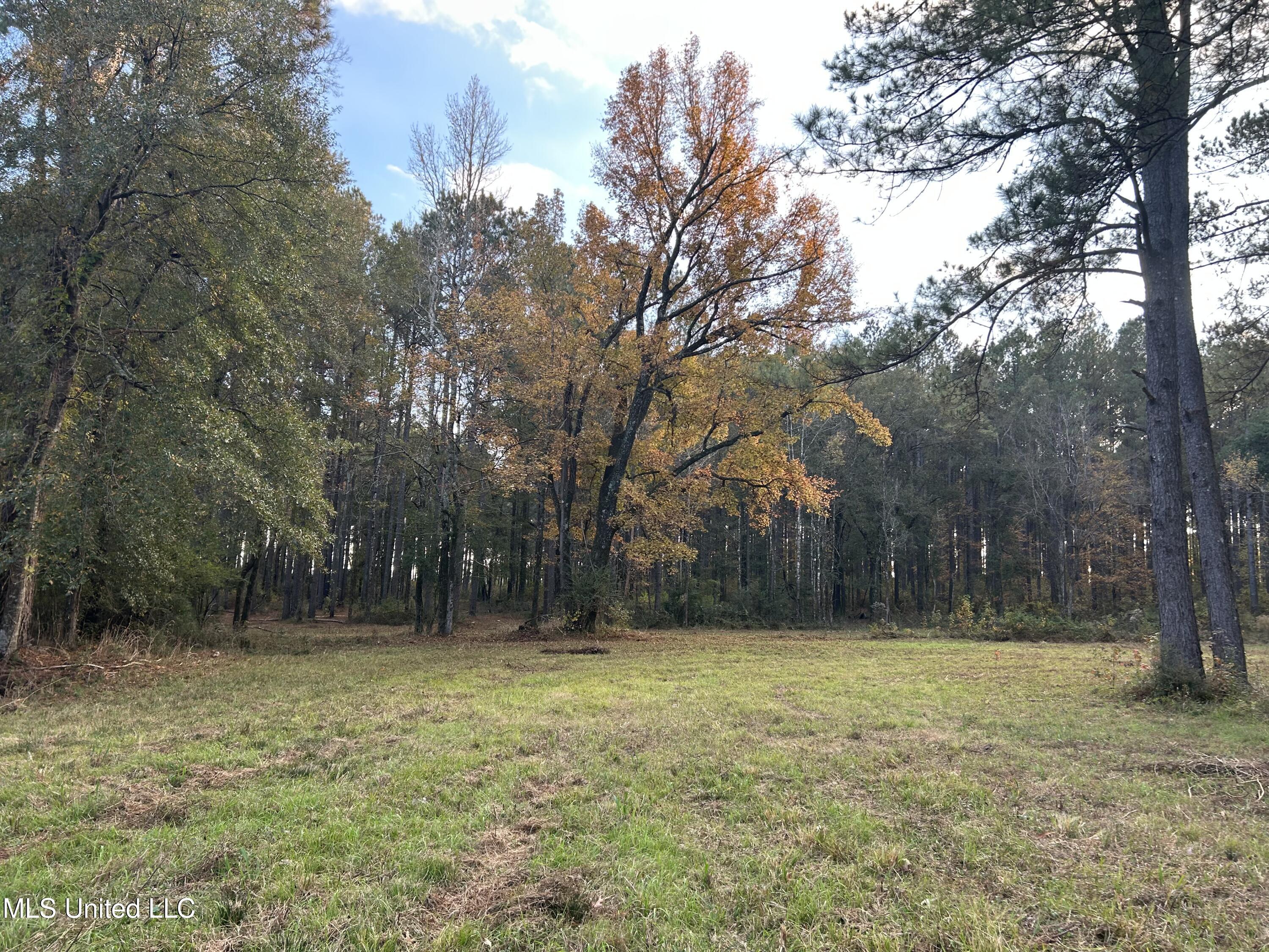 4024 Old Mill Road Property Photo 24