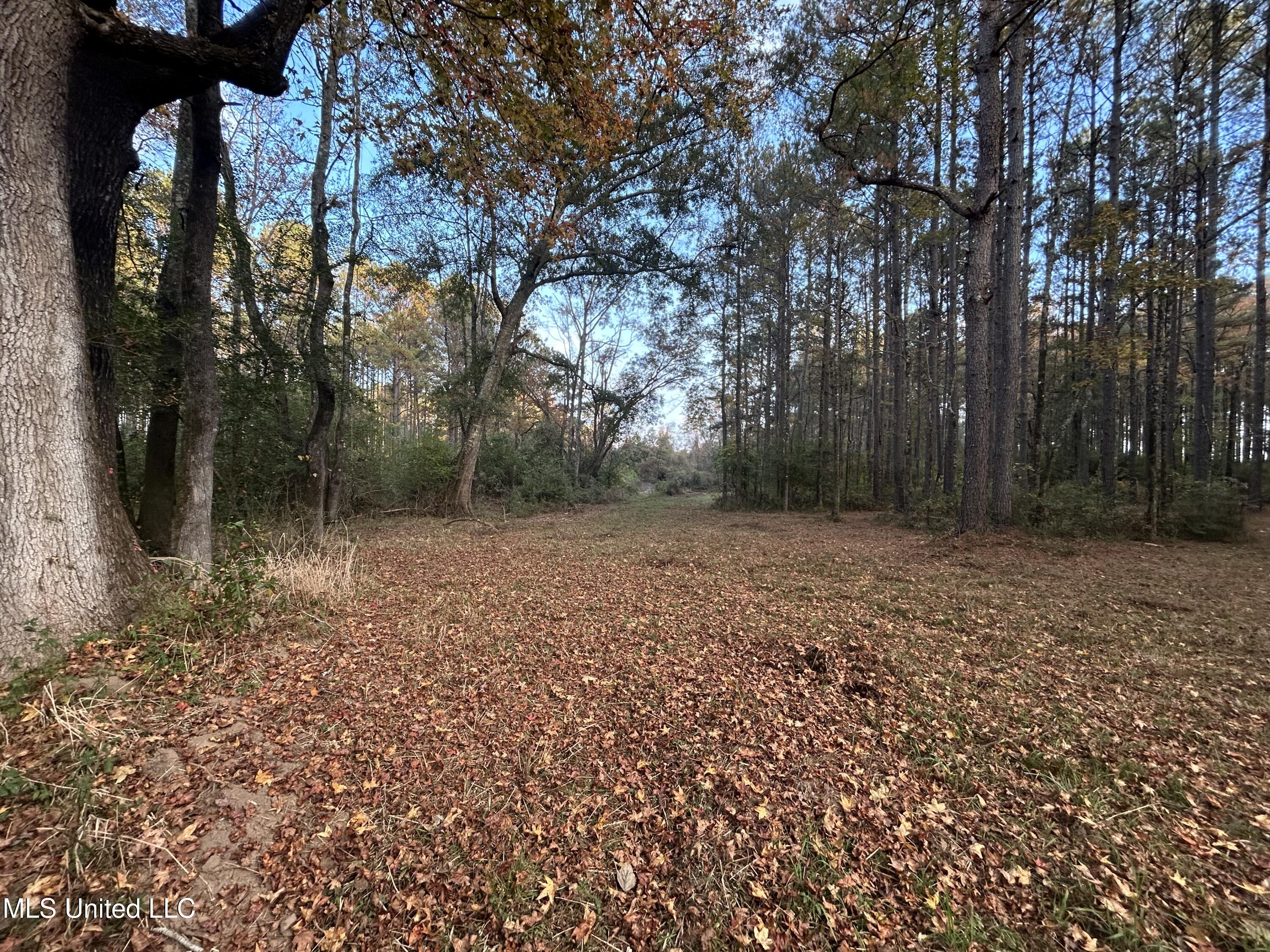 4024 Old Mill Road Property Photo 26