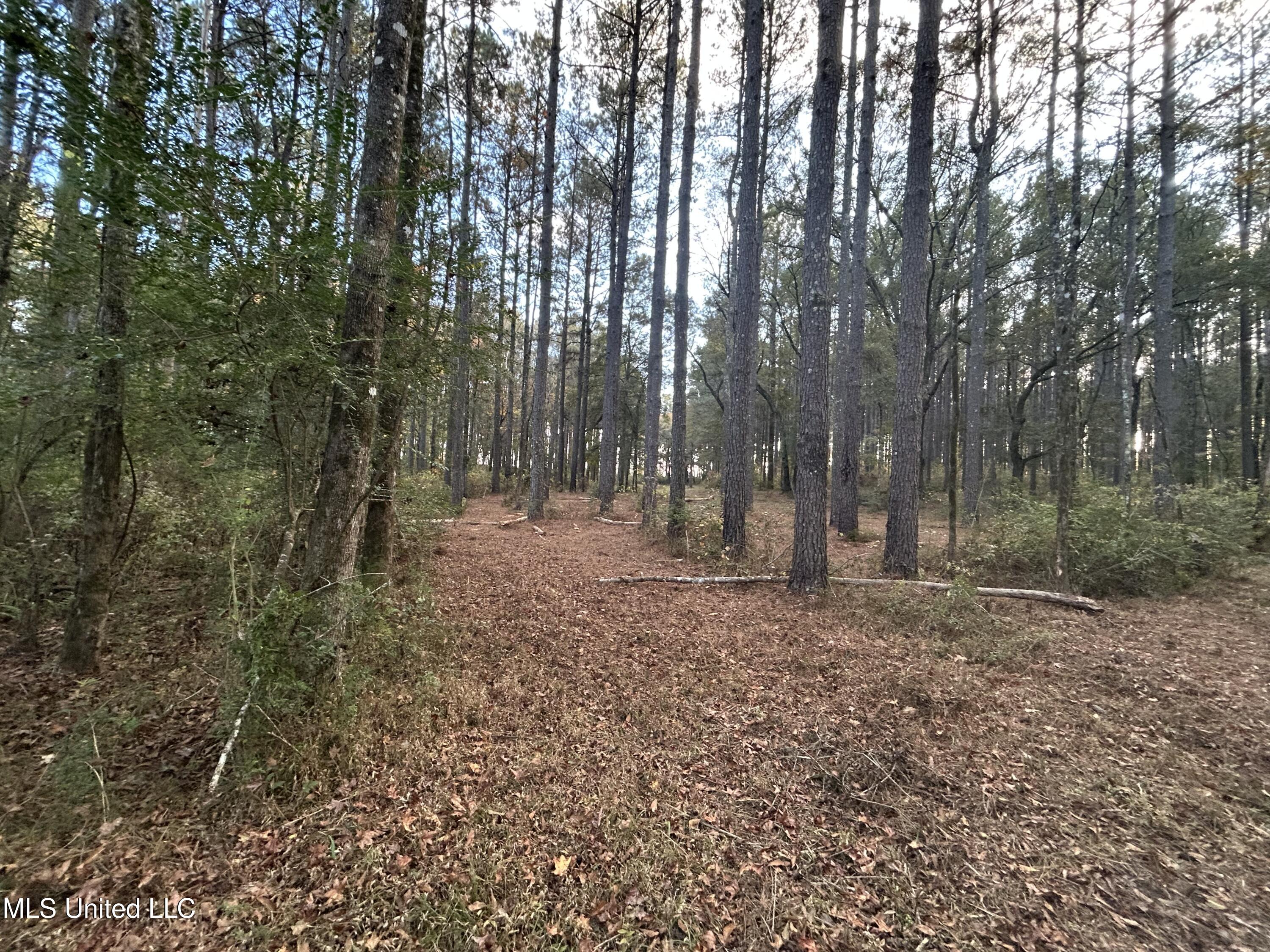 4024 Old Mill Road Property Photo 27