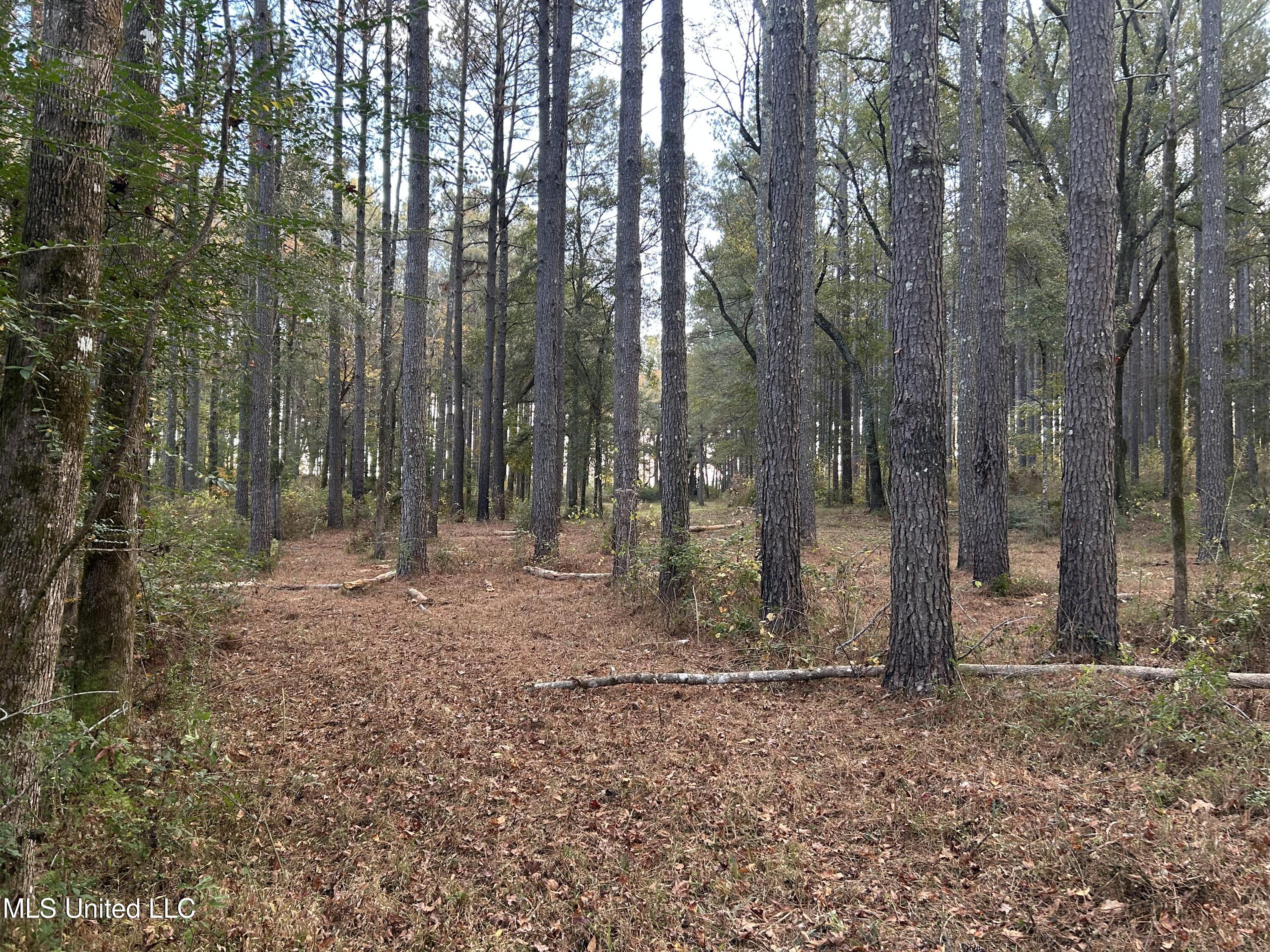 4024 Old Mill Road Property Photo 28