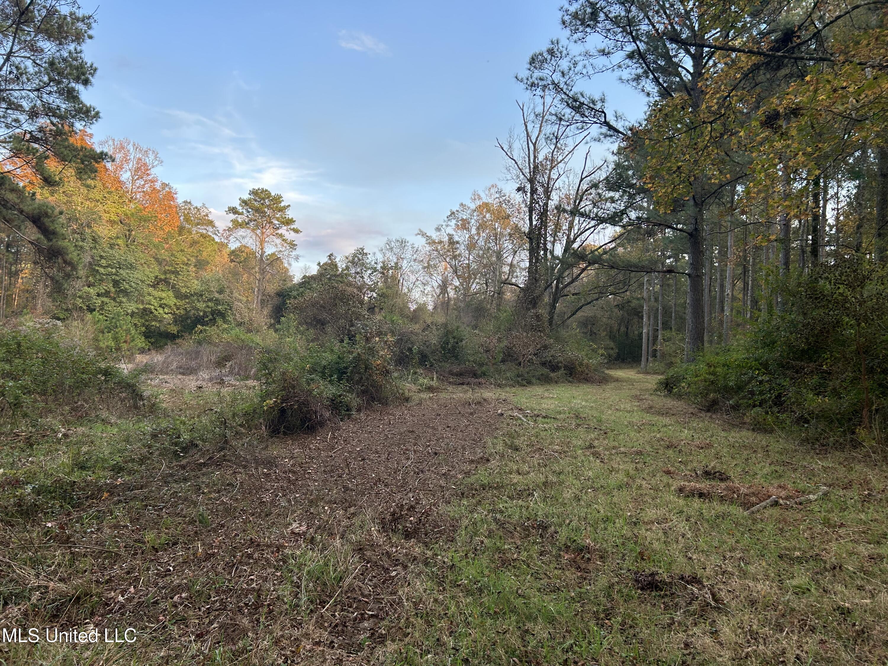 4024 Old Mill Road Property Photo 29