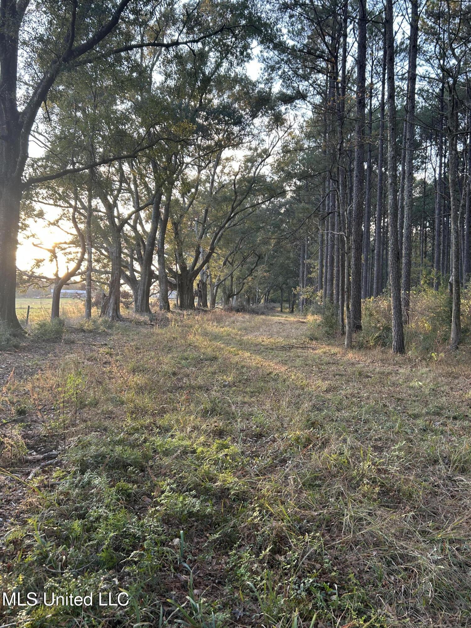 4024 Old Mill Road Property Photo 31