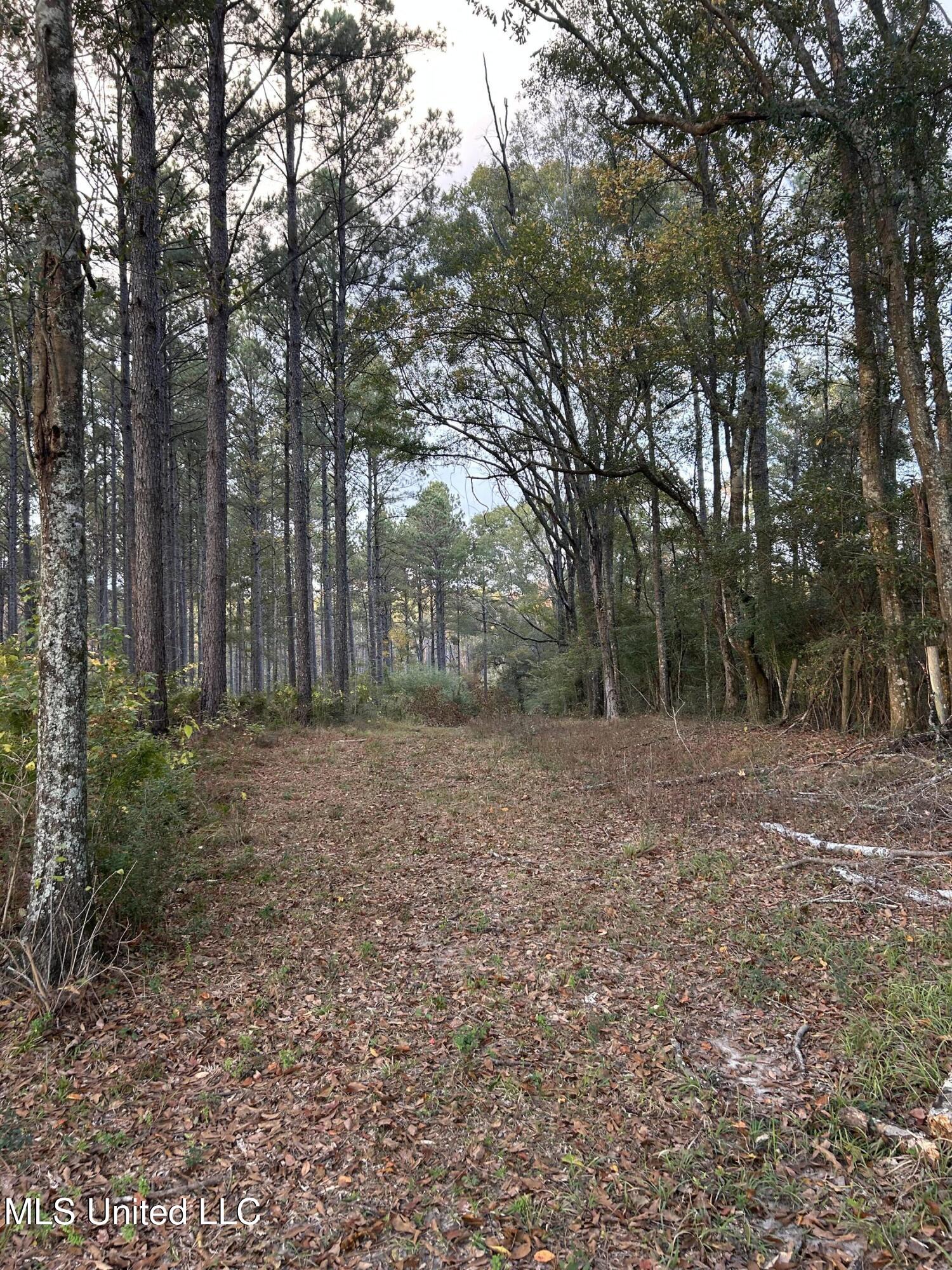 4024 Old Mill Road Property Photo 32