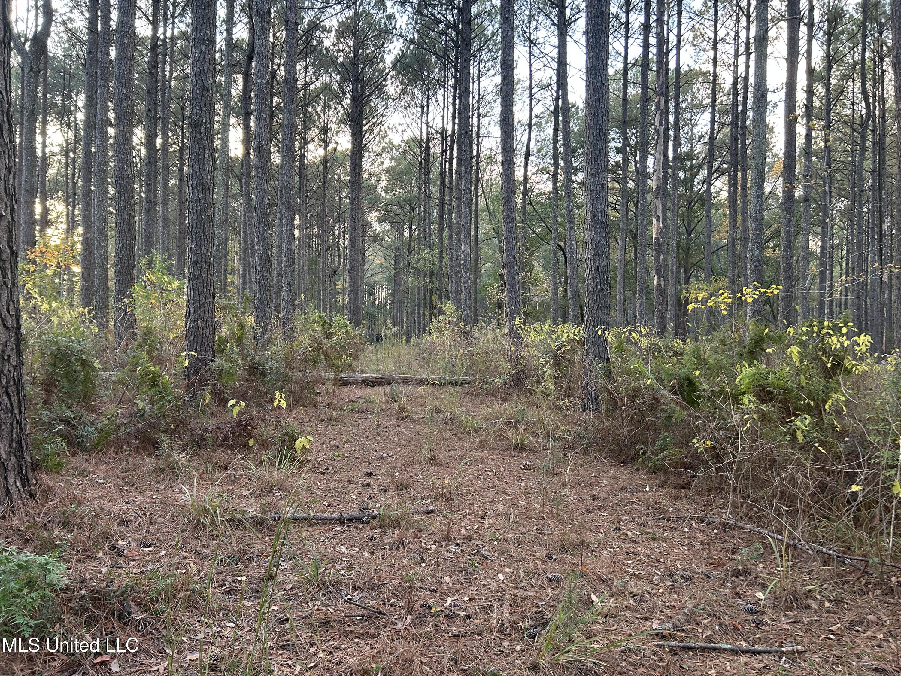 4024 Old Mill Road Property Photo 34