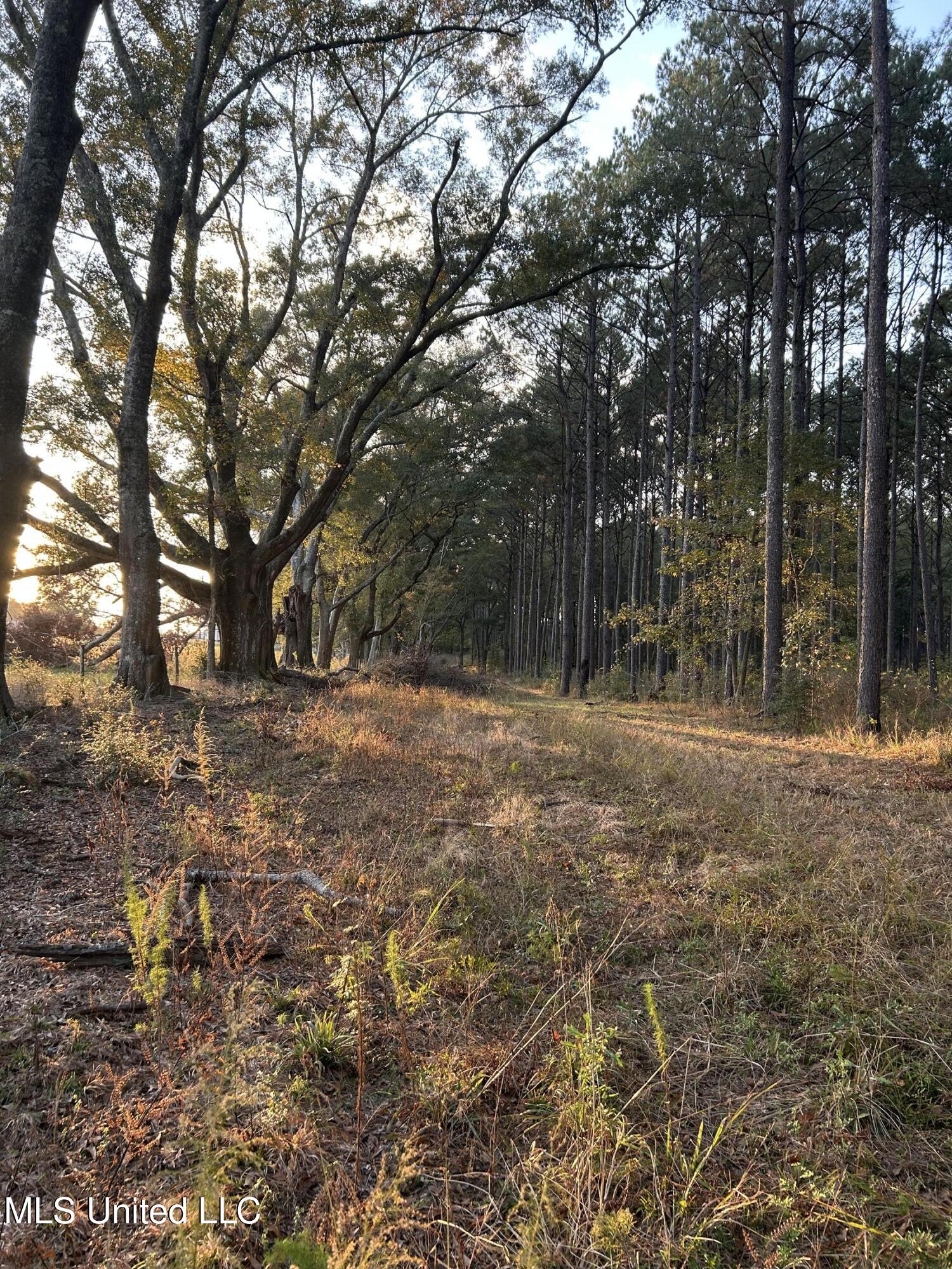 4024 Old Mill Road Property Photo 35