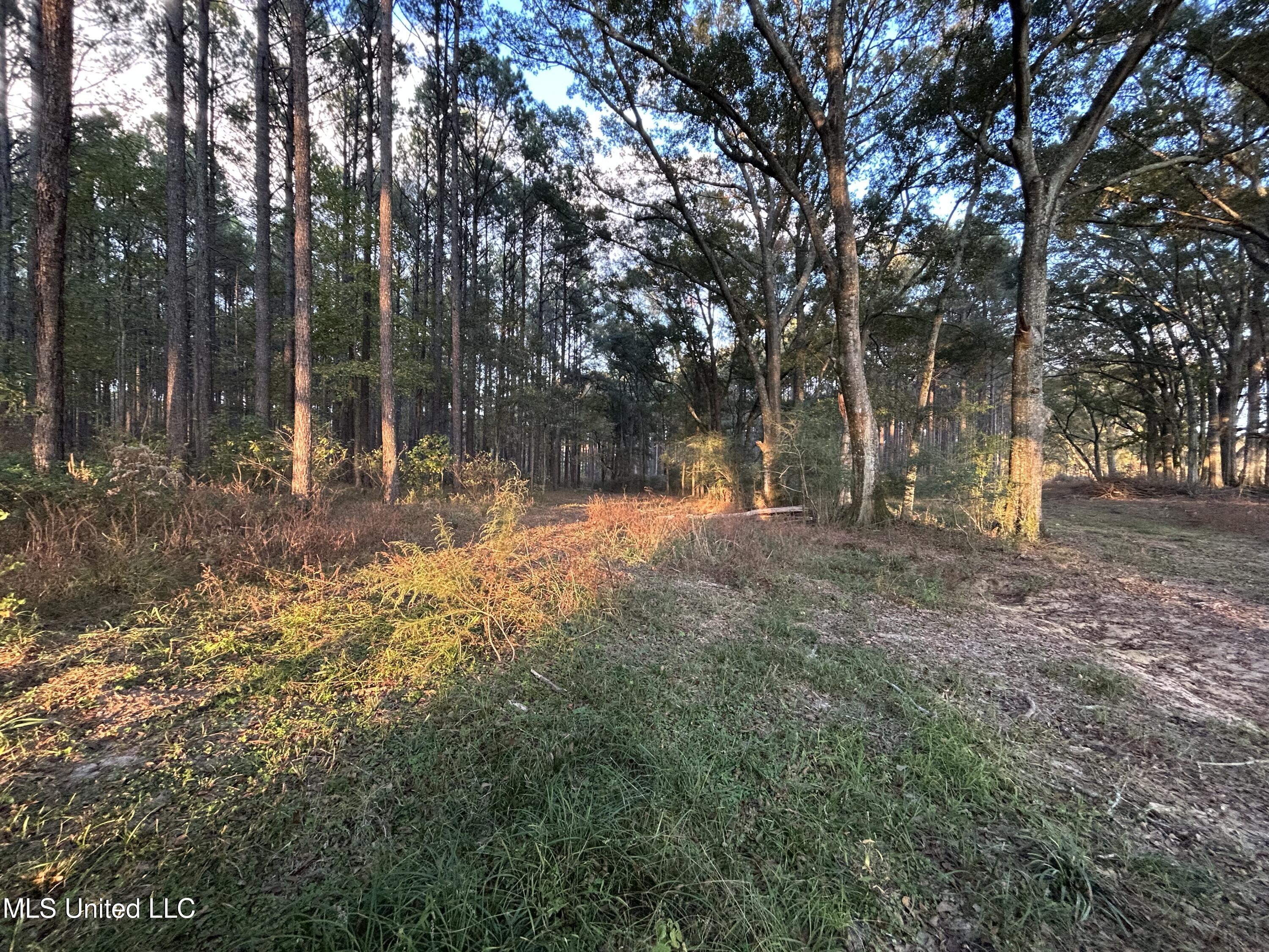 4024 Old Mill Road Property Photo 36