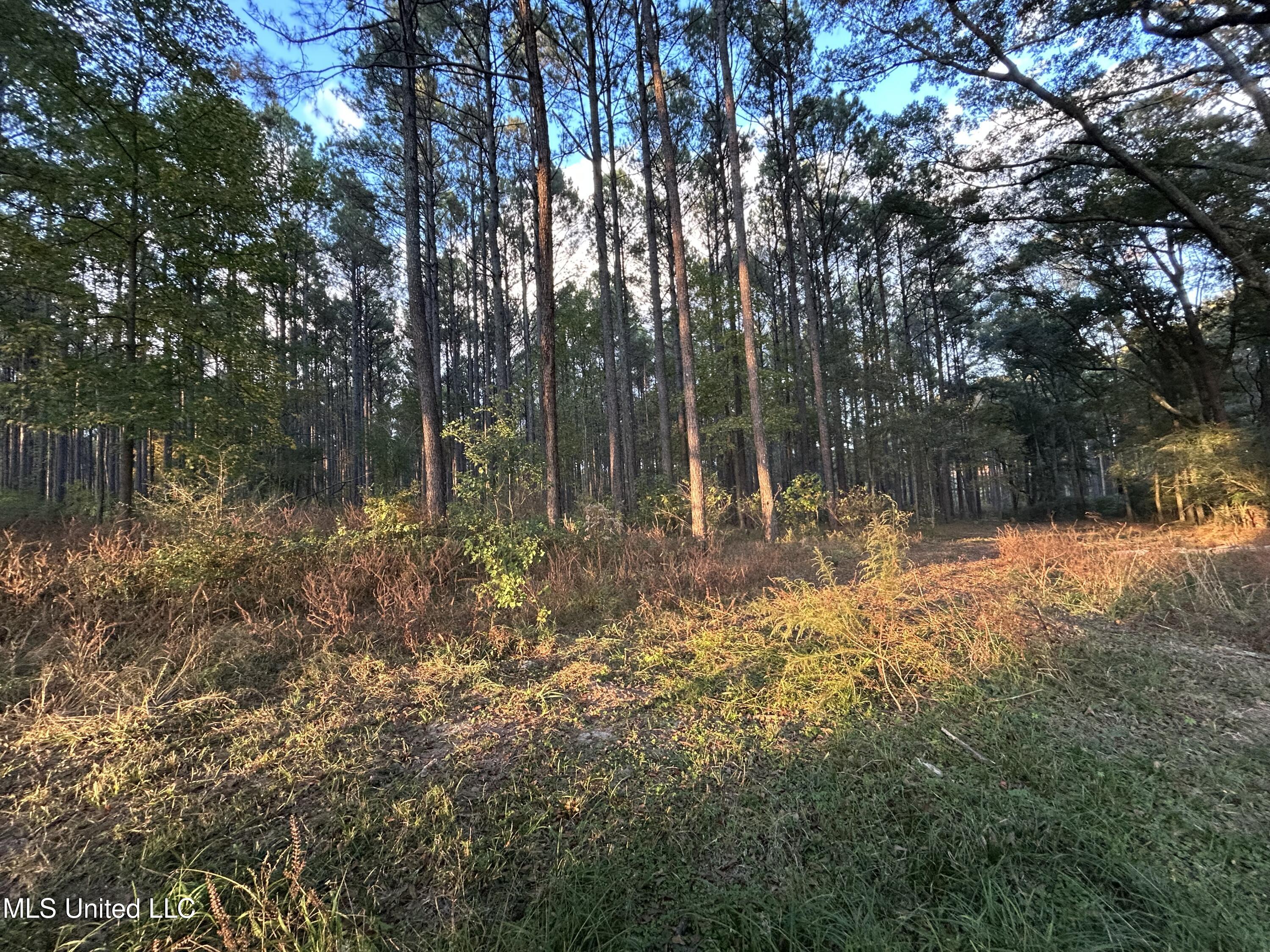 4024 Old Mill Road Property Photo 37