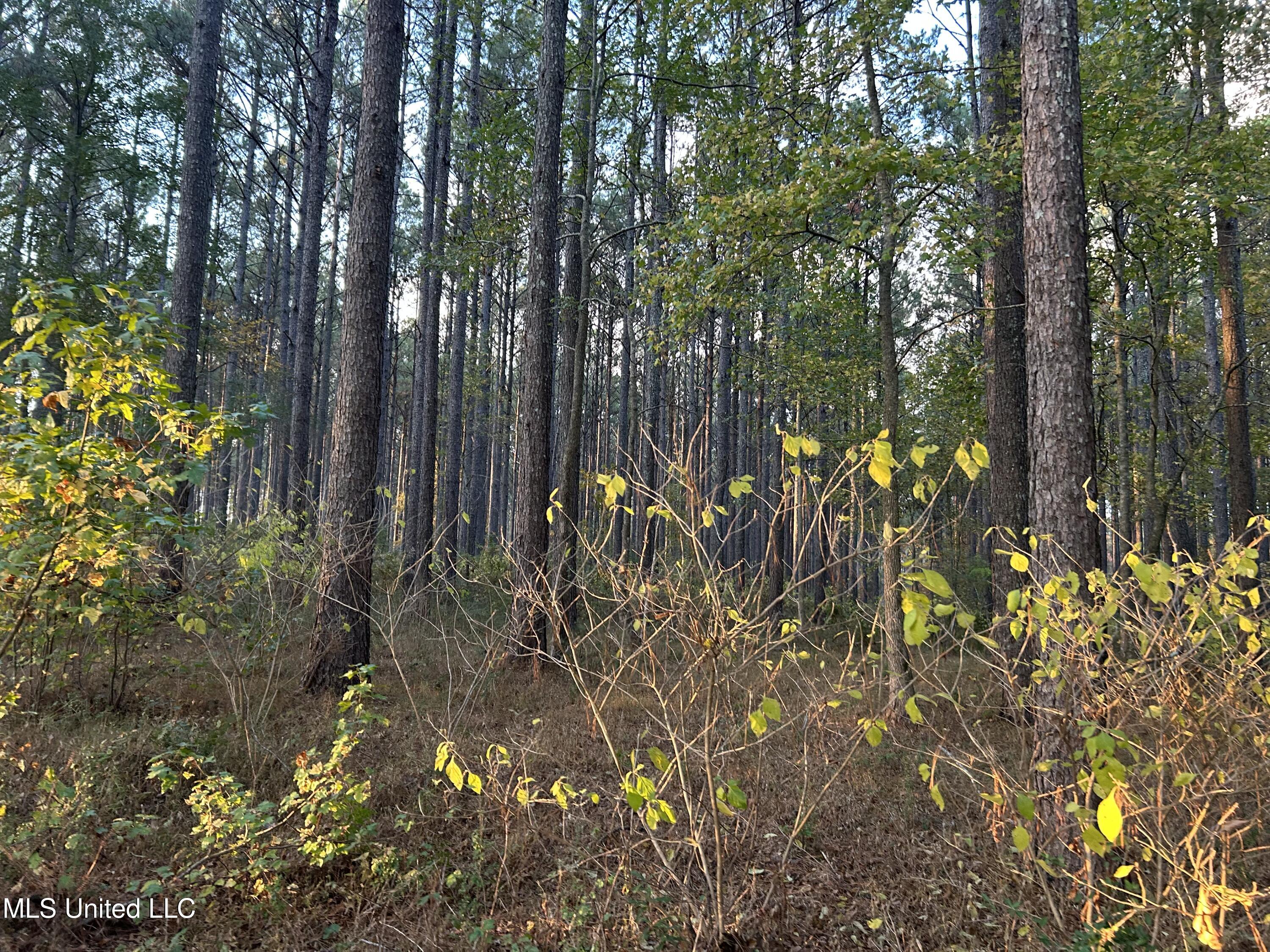 4024 Old Mill Road Property Photo 40