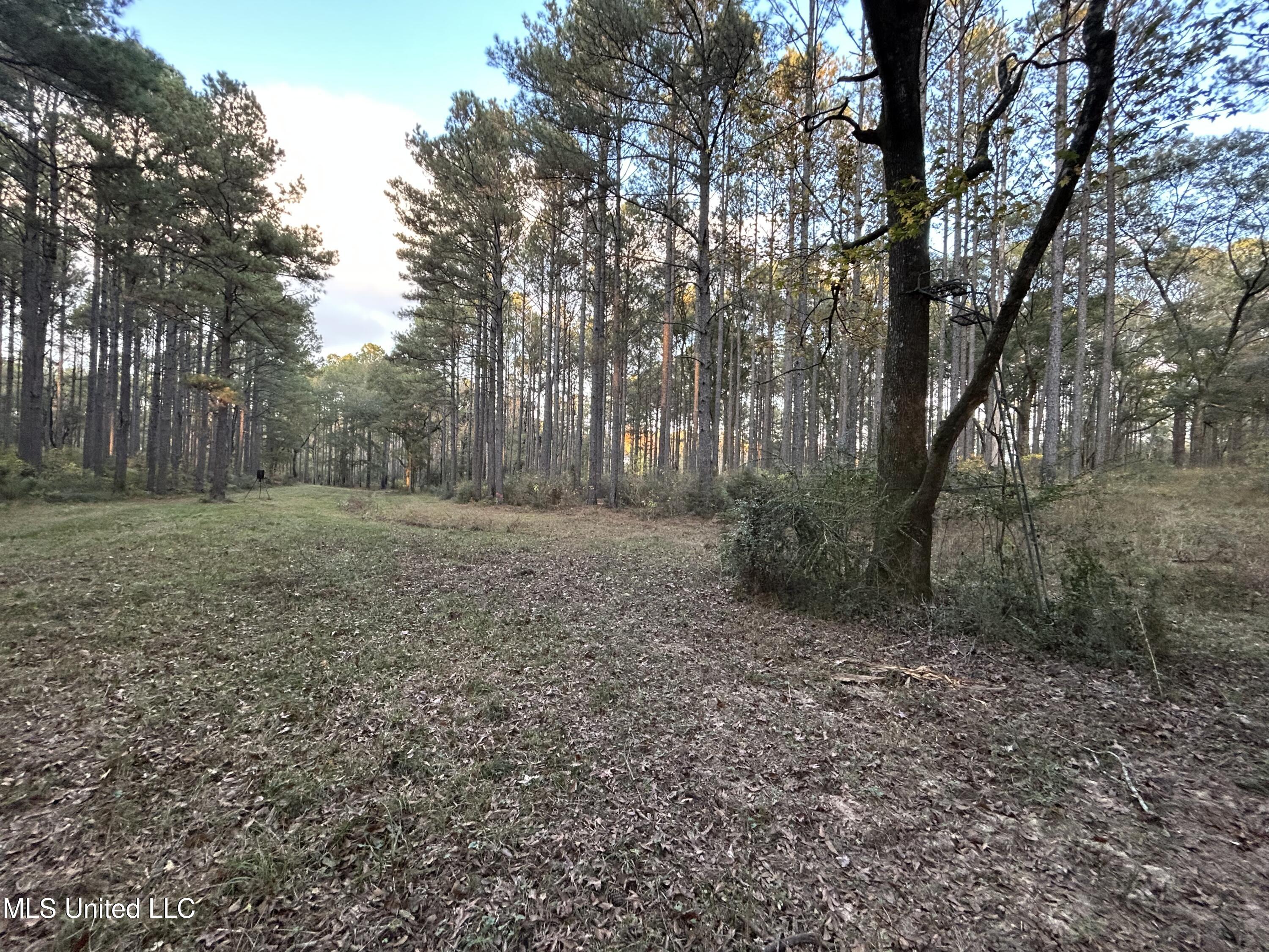 4024 Old Mill Road Property Photo 43