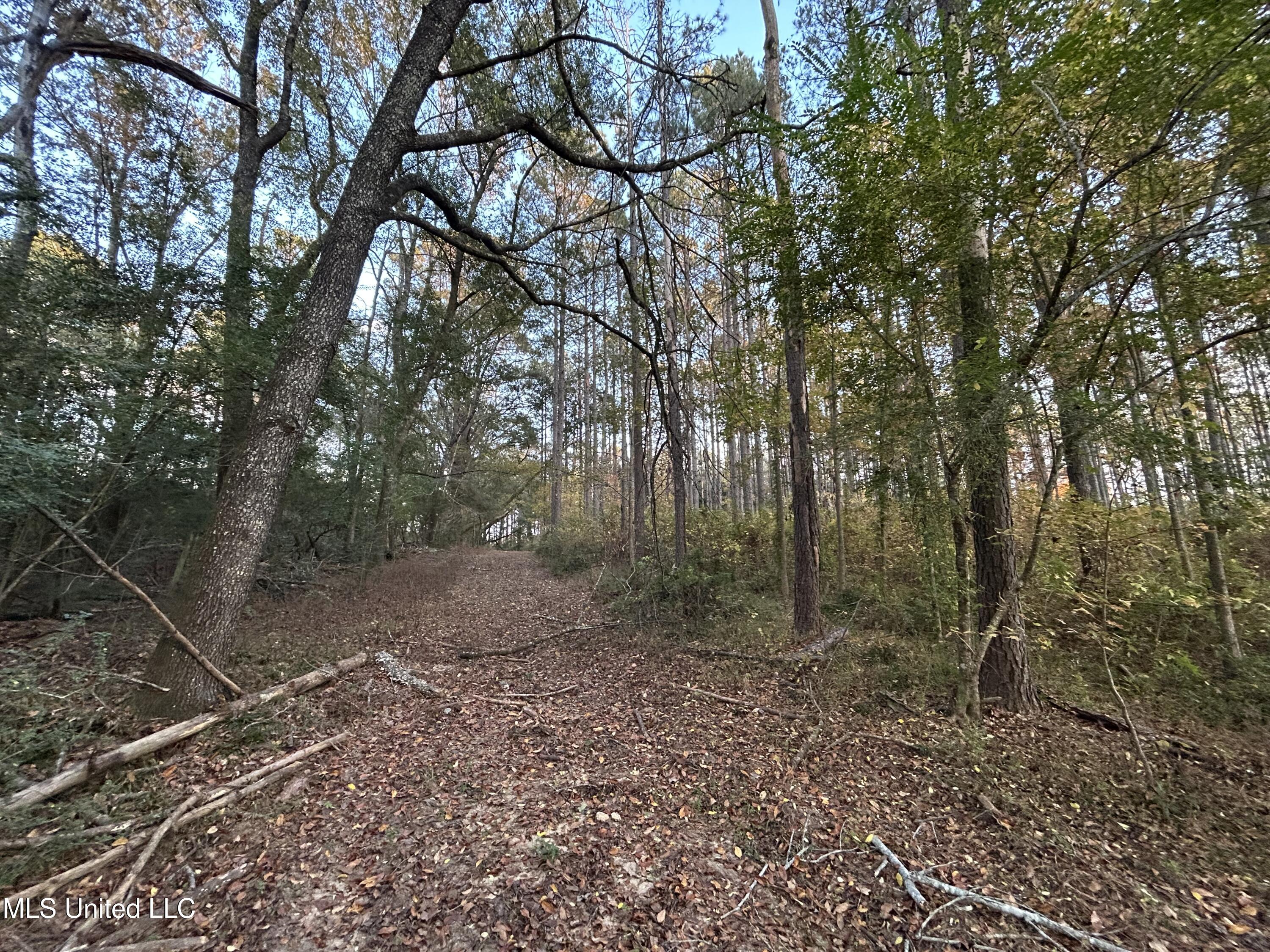 4024 Old Mill Road Property Photo 47