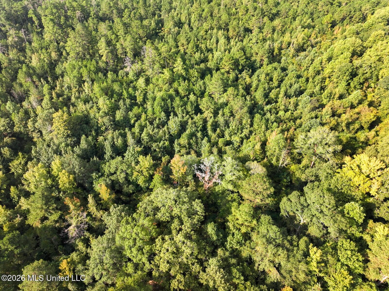 Bethesda Road Property Photo 5