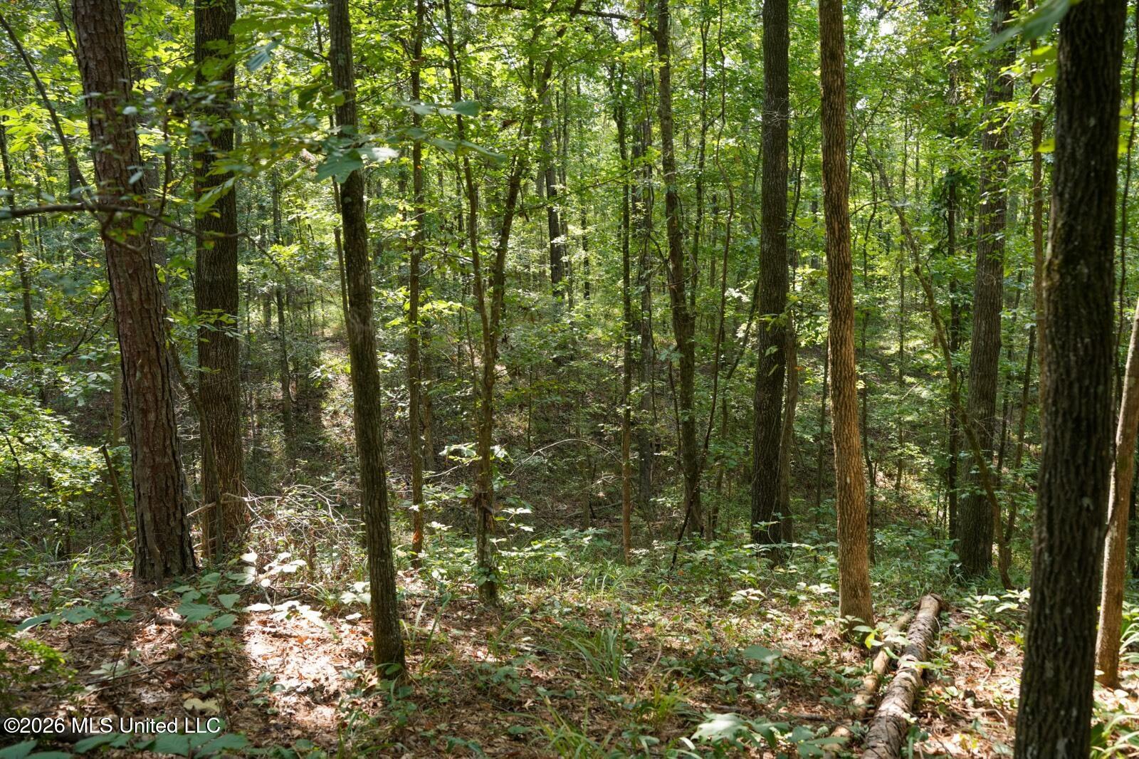 Bethesda Road Property Photo 8