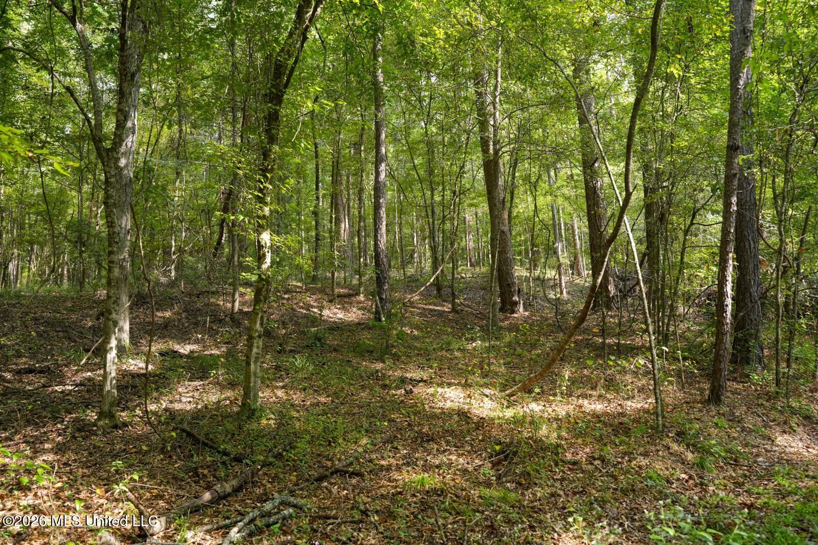Bethesda Road Property Photo 11