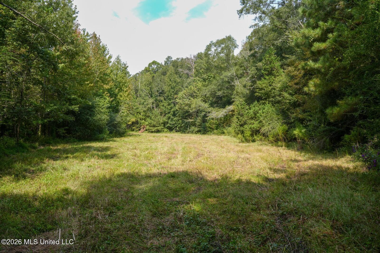 Bethesda Road Property Photo 15