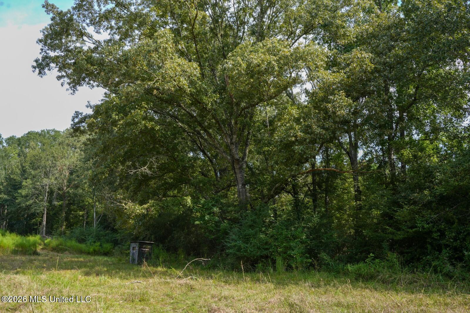 Bethesda Road Property Photo 19