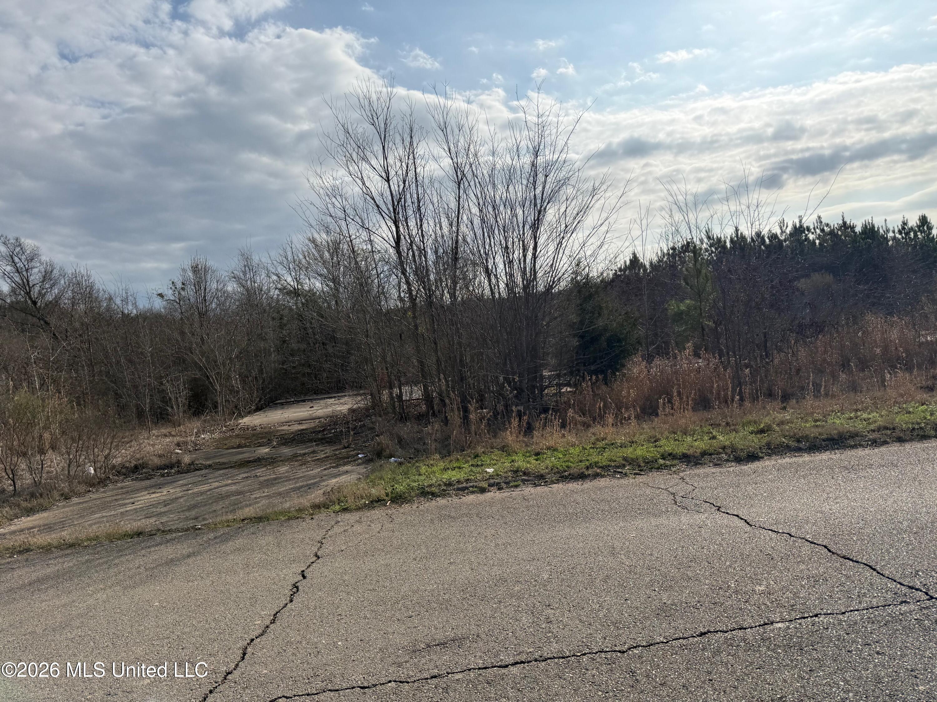 Eiland Avenue Property Photo 1