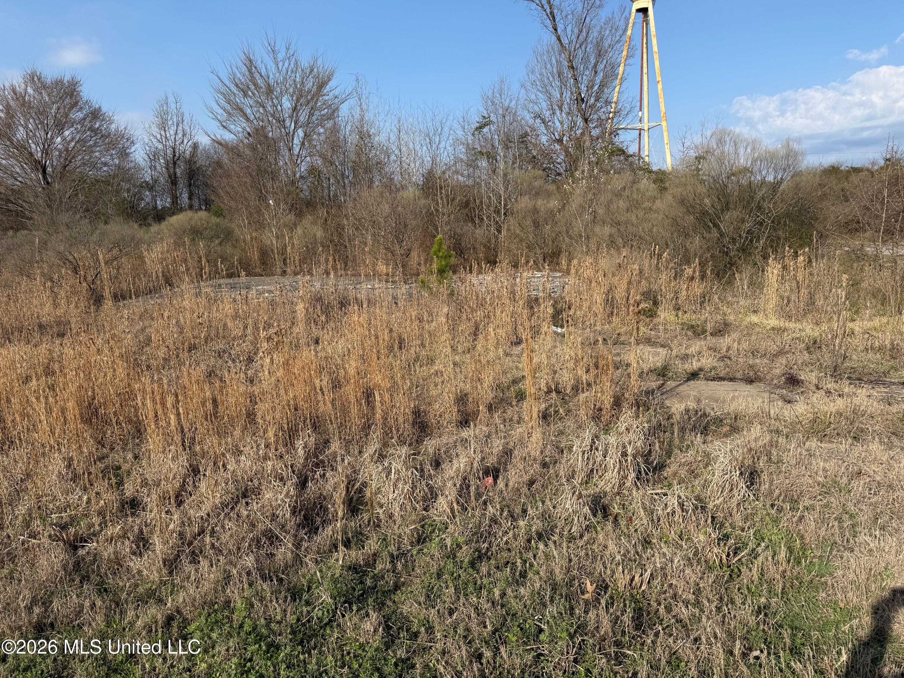 Eiland Avenue Property Photo 1